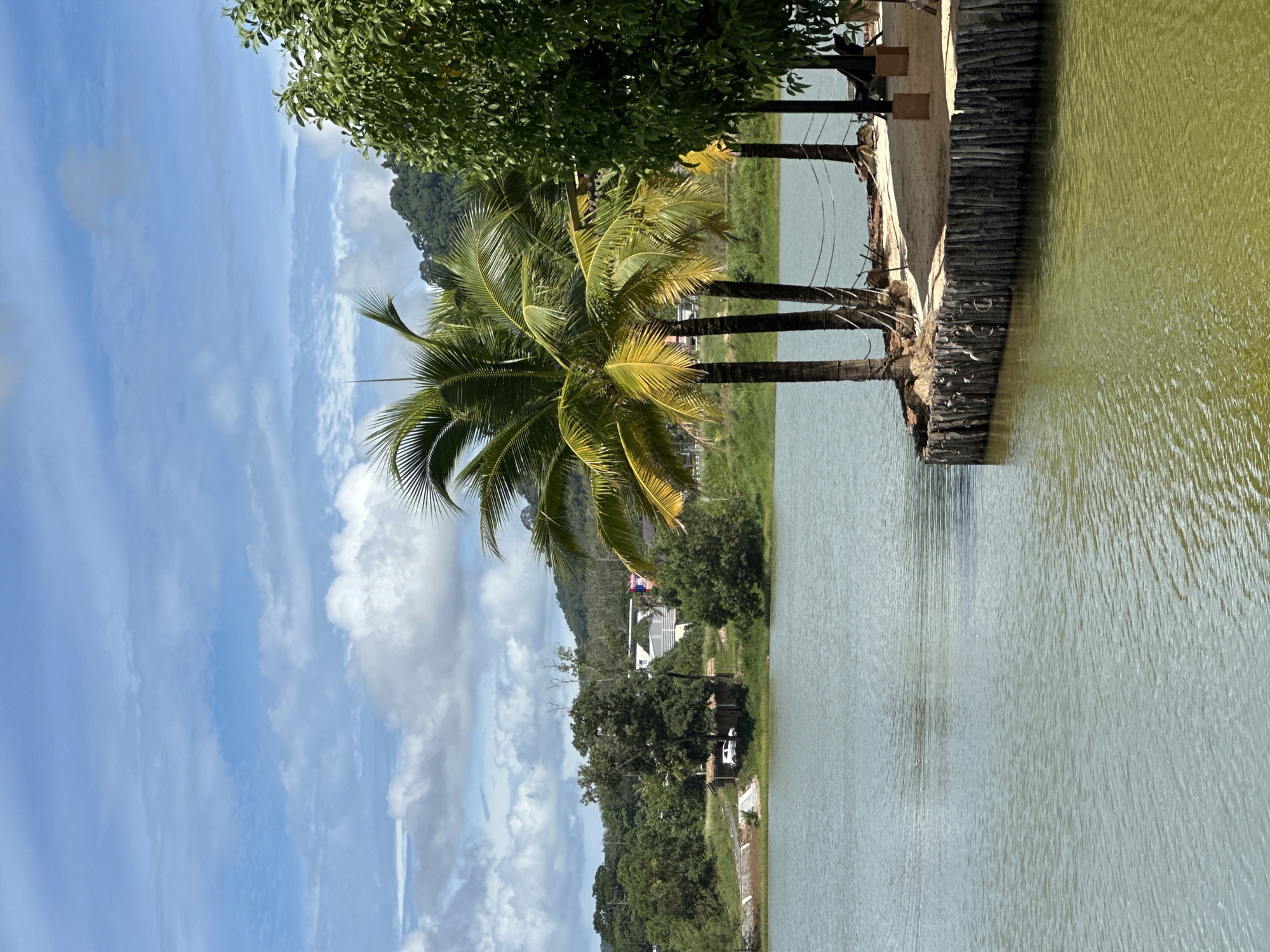 The image depicts a tranquil lakeside scene in Choeng Thale, Thailand. The foreground is dominated by calm, greenish water, with ripples suggesting a gentle breeze. Along the water's edge, a rustic wooden barrier made of vertical logs separates the water from a sandy area. Three palm trees with prominent fronds stand on this sandy bank, casting shadows. Beyond the palm trees, a lush green landscape unfolds, featuring various trees and vegetation. In the mid-ground, across the lake, several buildings with white roofs are visible, nestled amongst the trees, with a white car parked near a small structure with a thatched roof. A hilly, tree-covered terrain forms the backdrop, under a sky filled with scattered white clouds against a blue expanse.