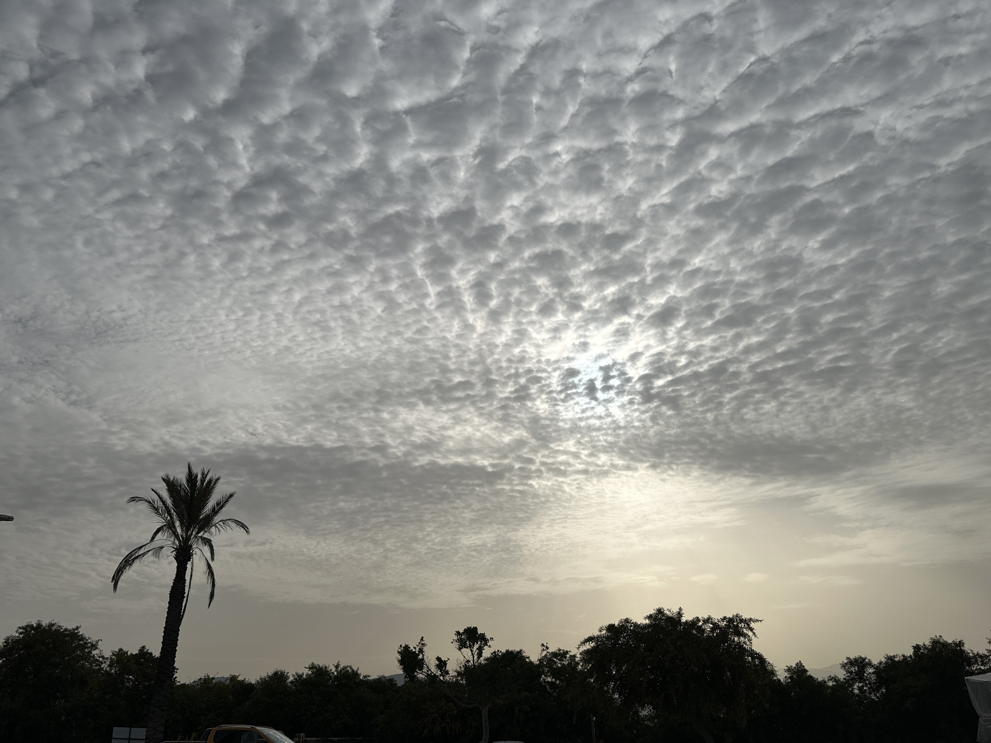 The image shows a cloudy sky over Fethiye, Turkey. The sky is filled with small, textured clouds, possibly altocumulus or cirrocumulus. There is a bright spot in the clouds where the sun is partially visible. In the foreground, there is a silhouetted palm tree to the left and a line of trees and shrubs across the bottom of the frame. A car is visible to the lower left. The lighting suggests either sunrise or sunset.
