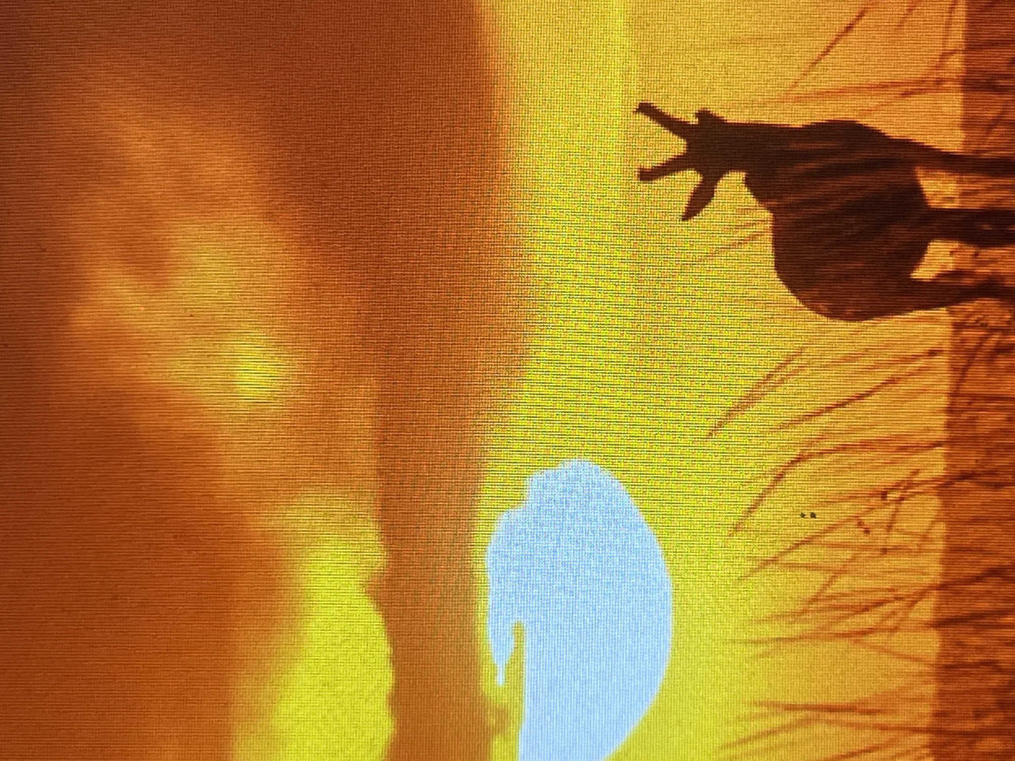 The image depicts a silhouette of a pronghorn antelope standing in tall grass against a vibrant orange and yellow sunset. A portion of the sun, appearing bright white, is visible in the upper left quadrant. The sky is filled with hazy clouds in shades of orange and yellow. The foreground is dominated by the silhouette of the antelope and blades of grass, all rendered in dark brown. The scene evokes an African savanna landscape at dusk. There is no indication that this image is related to Casablanca, Morocco.