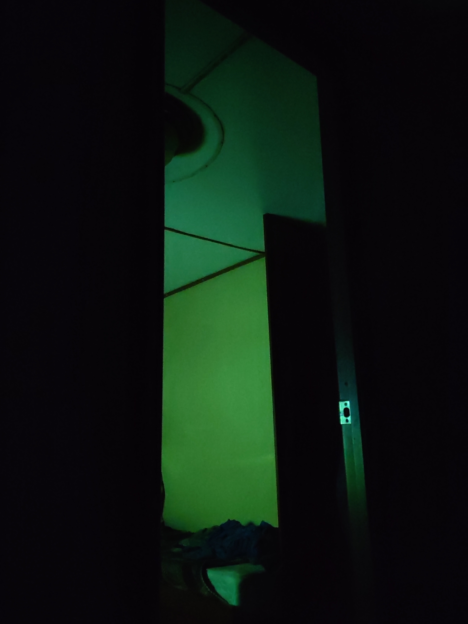 The image captures a narrow, vertical view into an interior room, predominantly illuminated by a strong green light source. The left half of the frame is entirely black, suggesting an obscured foreground or a narrow vantage point into the room.
On the right, a slice of the room is visible. At the top, a white or light-colored ceiling with angular lines, possibly panels, is illuminated. A large, dark circular object, possibly a light fixture or fan, is visible on the ceiling. The walls below are uniformly cast in a vibrant green glow. A dark, vertical structure, likely a door frame or the edge of a door, runs along the right side of the visible room section. A metallic door latch mechanism is visible on this dark structure at mid-height.
In the lower portion of the visible room, indistinct dark shapes, possibly crumpled fabrics or bedding, rest on a surface. Below these, a small, lighter green rectangular object is partially visible.
The pervasive green illumination creates a distinct ambiance, suggesting a nightlight or unique lighting setup within the room. No people are present, and no specific activity is taking place, giving the scene a still and somewhat mysterious quality. The scene likely occurs at night or in a dimly lit environment. There is no visible text in the image. The location context provided is Shcheleiki, Russia, though no specific visual cues confirm this.