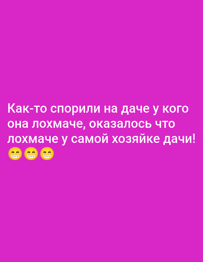 The image contains white text on a bright pink background. The text reads "Как-то спорили на даче у кого она лохмаче, оказалось что лохмаче у самой хозяйке дачи!". Below the text are three smiling face emojis. There is no indication of Sof'ino, Russia in the image.