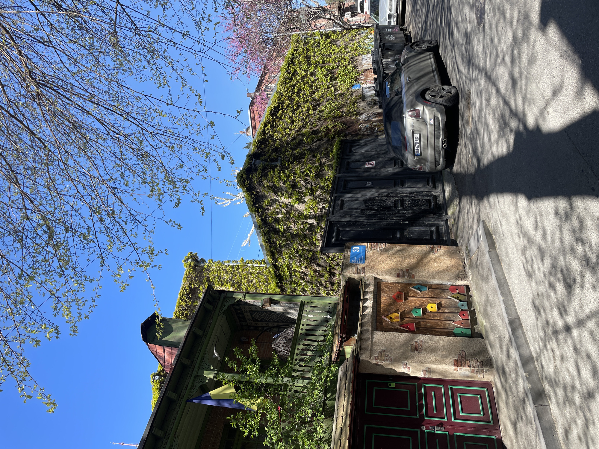 The image shows a street scene in Tbilisi, Georgia. A building with a dark green wooden porch is visible on the left, partially covered in ivy. A Romanian flag hangs from the porch. Adjacent to it is another building with a boarded-up doorway and a colorful wooden art installation above it. A dark-colored car is parked along the street, casting a shadow on the asphalt. The wall of the building is covered in dense green ivy. A blue street number sign, "30", is visible near the ivy. The sky is clear and blue. Tree branches are visible on the upper left.