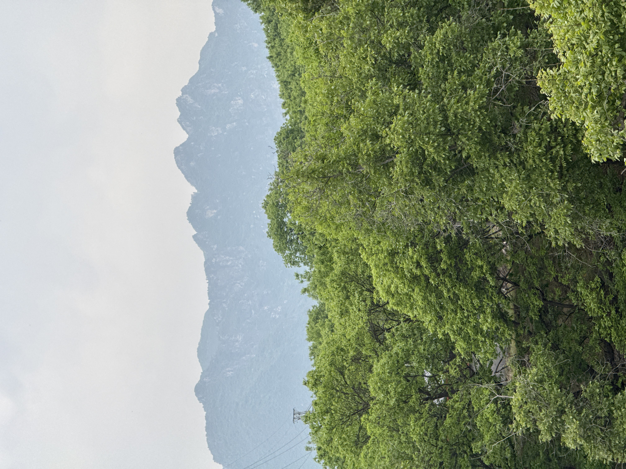 The image shows a landscape scene in Huairou District, China. On the left is a mountain range shrouded in mist, its peaks visible against a pale sky. To the right, dense green foliage of trees fills the frame, creating a contrast with the hazy mountains. Power lines are visible near the middle of the image, stretching from the lower left toward the center where trees obscure parts.