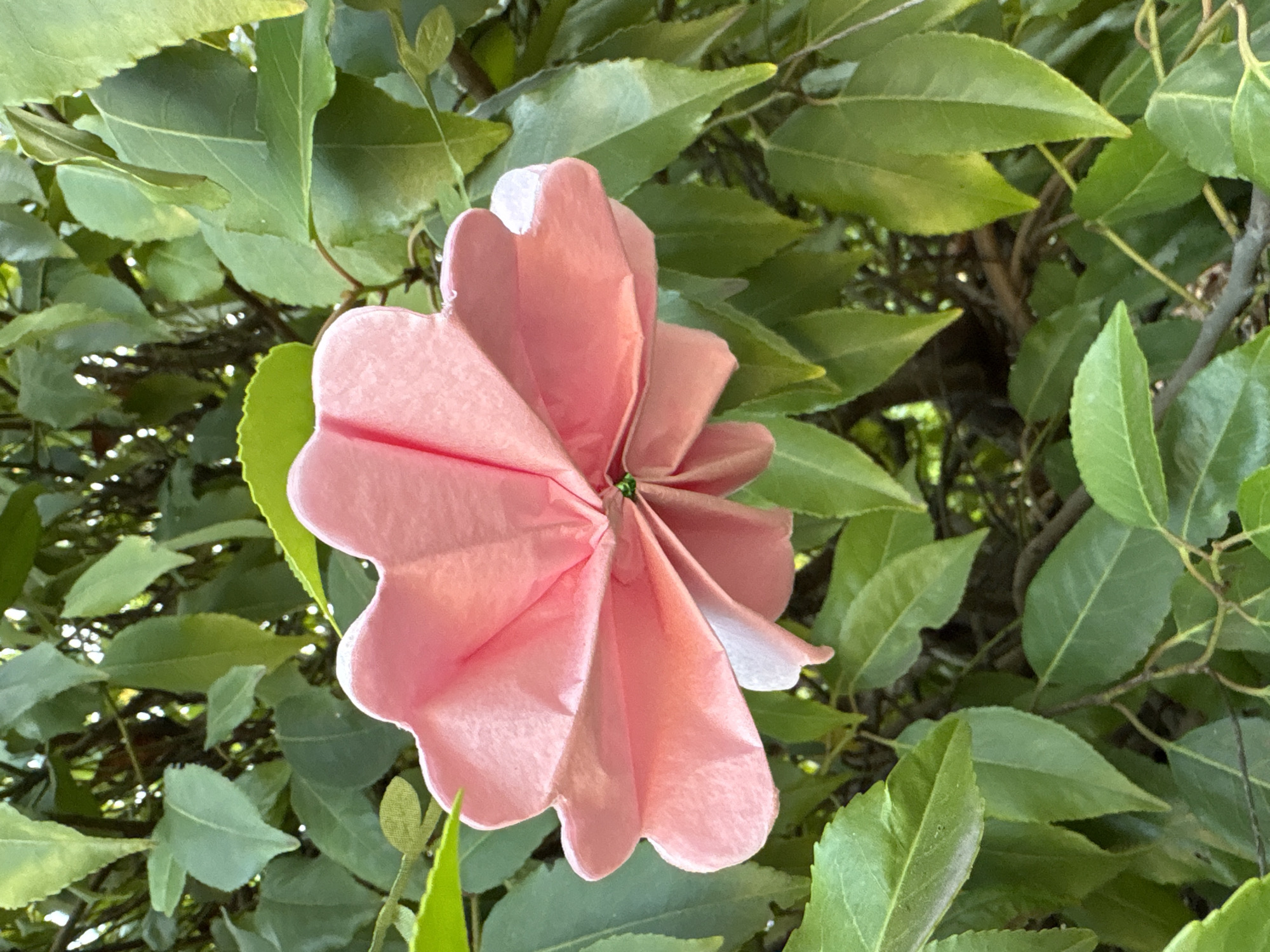 An overhead close-up shot focuses on a delicate, light pink origami flower with eight petals, centered amongst lush green foliage. The flower is positioned slightly to the left of the frame's center, its petals folded and curved, revealing a small green center. The background is filled with the dense, varied greens of a tree's leaves and branches, with some areas of dappled sunlight. The scene is outdoors, likely in a garden, given the natural setting and the way the origami flower appears to be nestled within the living plant. There is no indication of a specific location within Chelmsford, United Kingdom, or any people present. The lighting suggests it is daytime.