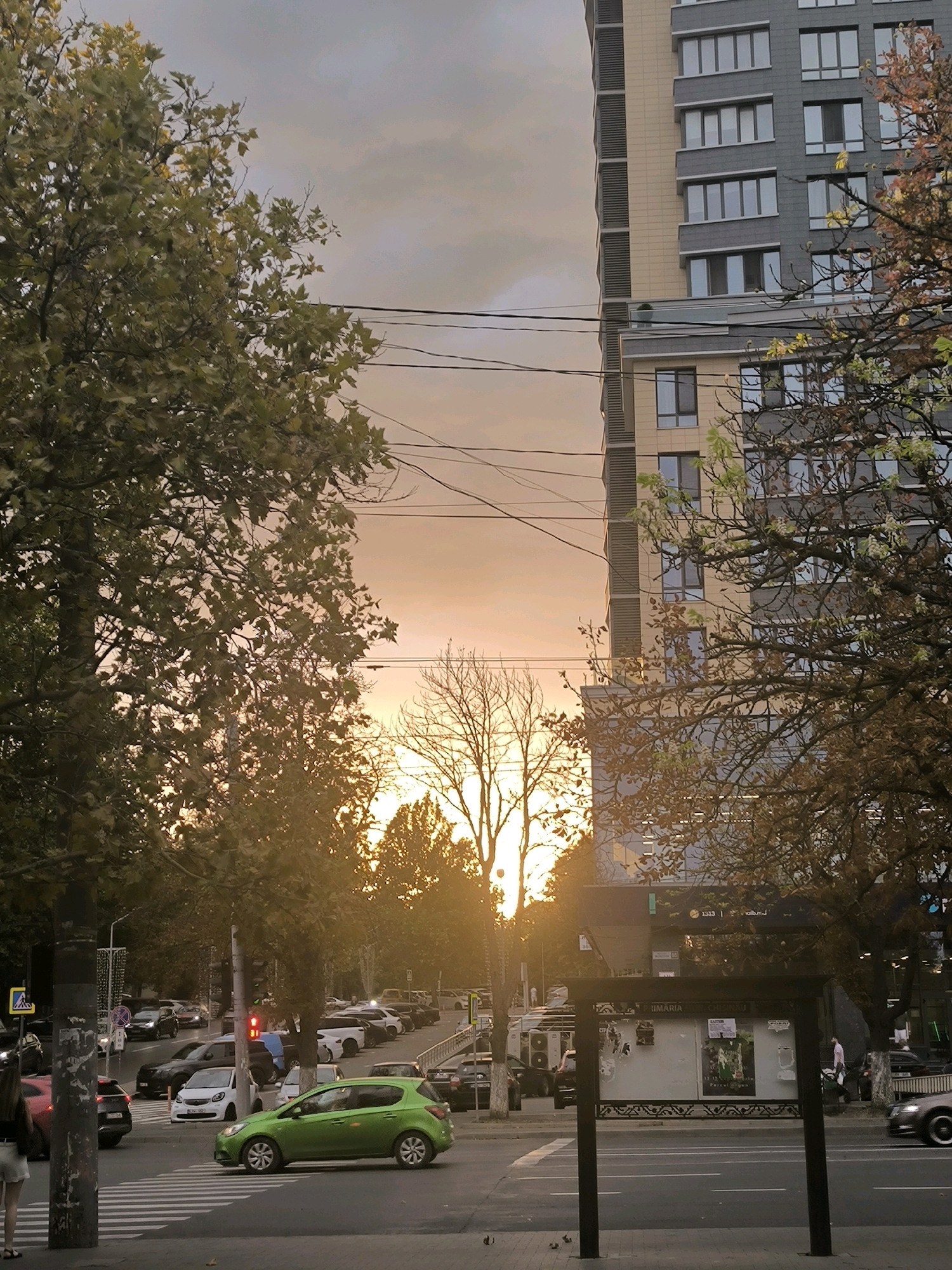 A street-level, eye-level, medium shot captures a twilight scene in Chișinău, Moldova. The sky is a gradient of soft oranges and grays, with clouds creating a diffused light. On the right, a modern, multi-story building with a beige and gray facade dominates the skyline, its numerous windows reflecting the sky. In the foreground, a green car is stopped at a pedestrian crossing, its brake lights illuminated. The street is moderately busy with various vehicles, including parked cars and traffic. Trees with sparse autumn foliage line the street, their branches silhouetted against the sky. A bus stop shelter with information posters is visible on the right side of the street. The overall impression is an urban setting during a tranquil evening hour.