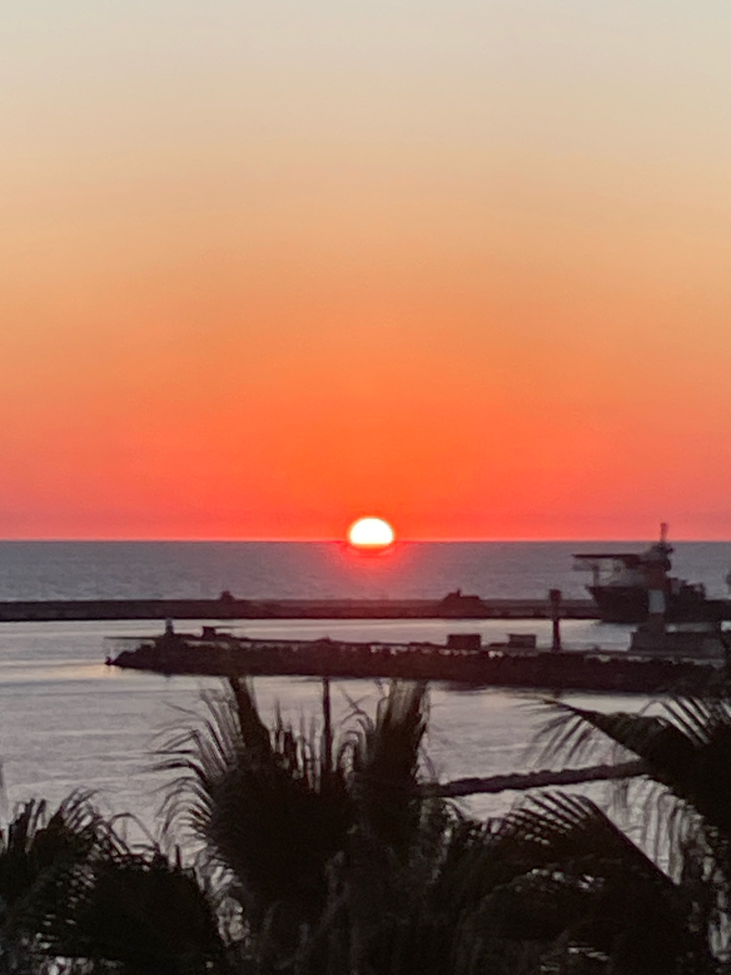 This is a vertical, eye-level, full shot of a sunset over the sea, with a port in the middle ground and palm fronds in the foreground, taken in Sochi, Russia. The sun, a vibrant red orb, is partially submerged on the horizon, casting a warm orange glow across the sky. The sea is calm, reflecting the colors of the sunset. In the middle ground, a dark, silhouetted port juts out into the water, with a lighthouse visible on its left end and a large ship on its right. The foreground is filled with dark, silhouetted palm fronds, their feathery leaves creating a soft, blurred frame around the scene. The overall atmosphere is serene and peaceful, with the natural beauty of the sunset dominating the composition.
