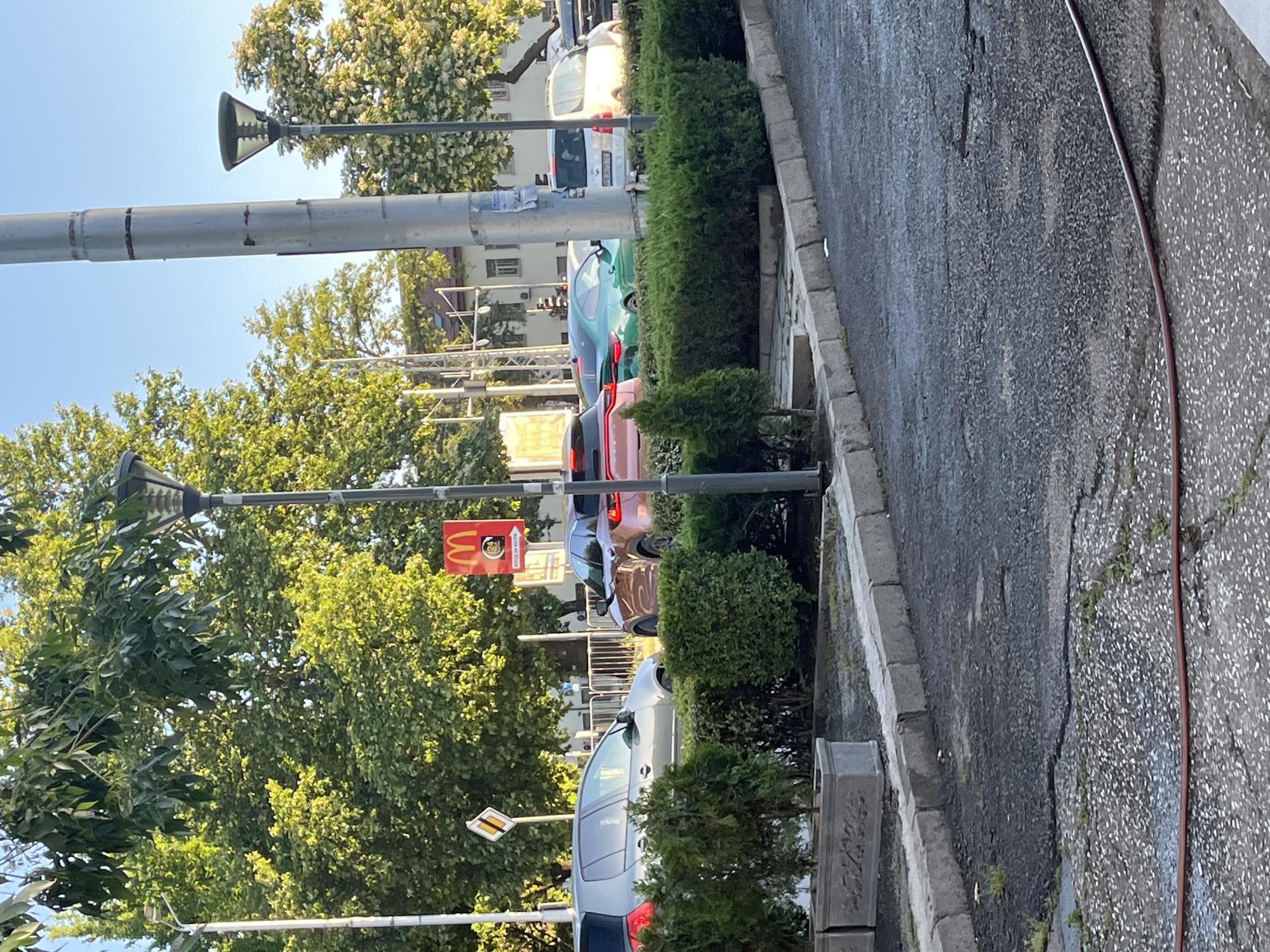 The image depicts a street scene in Plovdiv, Bulgaria, with a focus on a row of cars stopped at what appears to be a traffic light or intersection. In the foreground, a manicured hedge runs along the edge of a paved area, with some potted plants visible. Beyond the hedge, several vehicles are lined up. A silver Volkswagen Golf is on the left, followed by a reddish-pink SUV. Further down the line, a green sports car is visible, and behind it, a white minivan. A tall lamppost stands to the right of the cars. In the background, large trees with green foliage dominate the upper portion of the image, and buildings can be seen through the branches. A McDonald's sign is prominently displayed on the left side of the frame, indicating the presence of a restaurant. The overall scene suggests a typical urban environment during daytime.