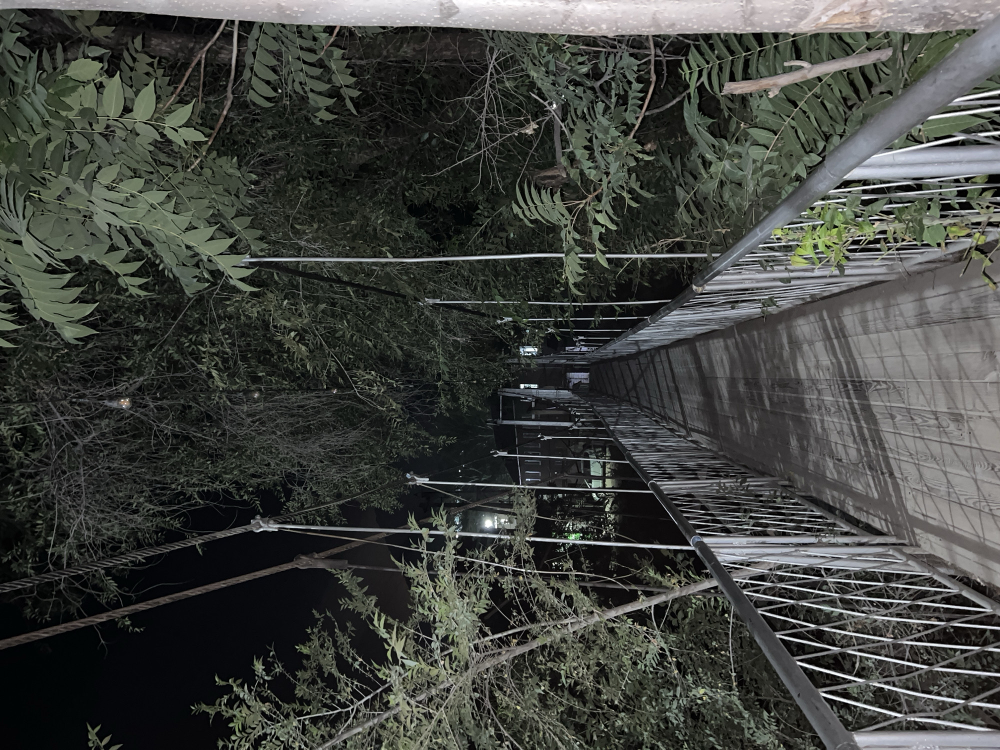 This is a nighttime, eye-level, medium shot of a wooden suspension bridge in Kadamjay, Kyrgyzstan. The bridge is flanked by metal railings and surrounded by dense foliage and trees. The wooden planks of the bridge are illuminated by faint light sources, casting shadows. The background is dark, with hints of lights and structures visible in the distance, suggesting it is within a populated area. The scene is natural and tranquil, with no people or animals visible. The overall atmosphere is serene and slightly mysterious due to the nighttime setting.