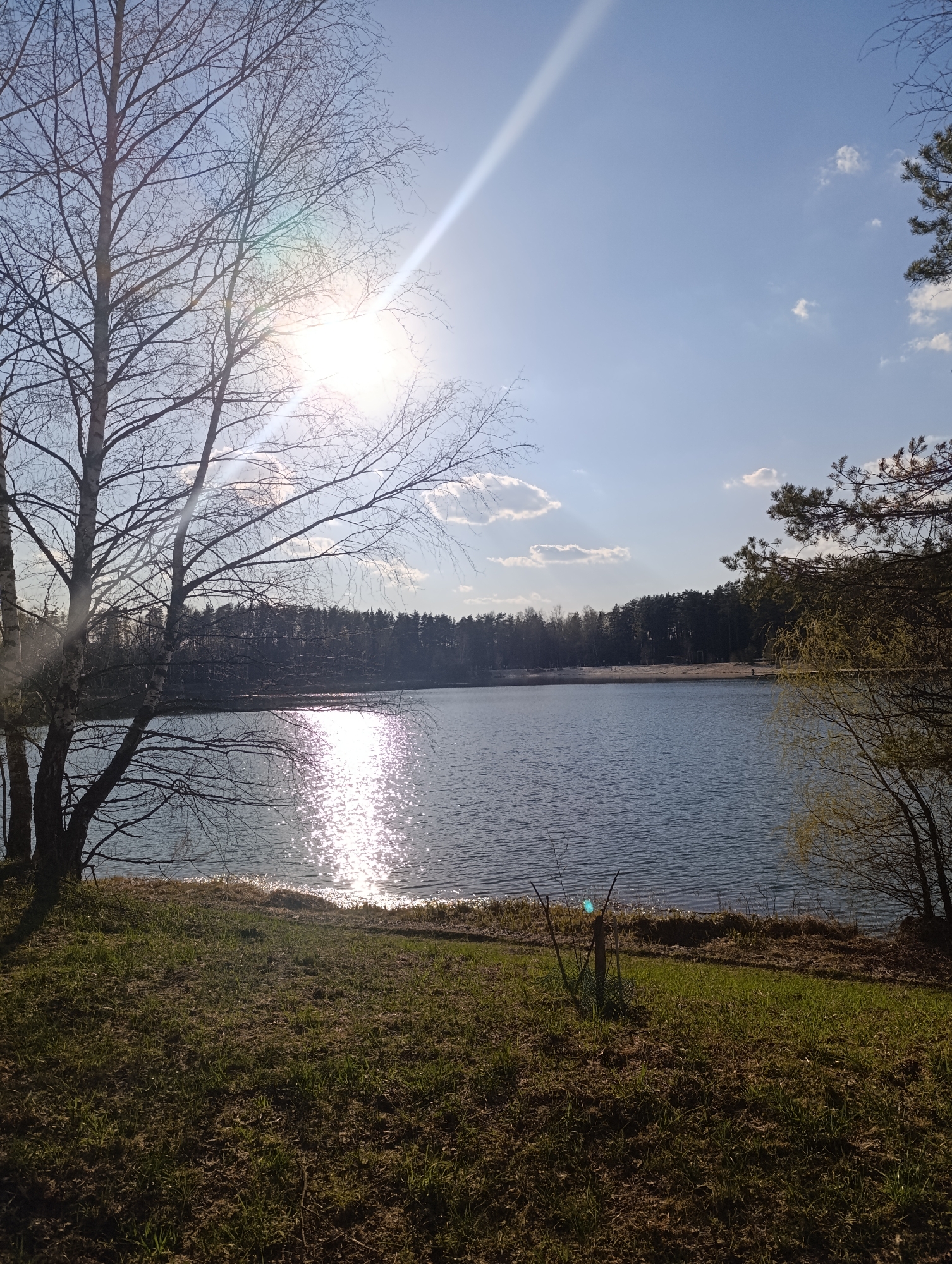 The image depicts a landscape scene on a sunny day. A lake occupies the central portion, reflecting sunlight in a glittering pattern on the water's surface. The far shore is lined with trees and a sandy beach area, with some human figures visible in the distance. In the foreground, there's a grassy area with scattered trees, including a bare-branched tree on the left side of the frame. Location is Unknown, Unknown.