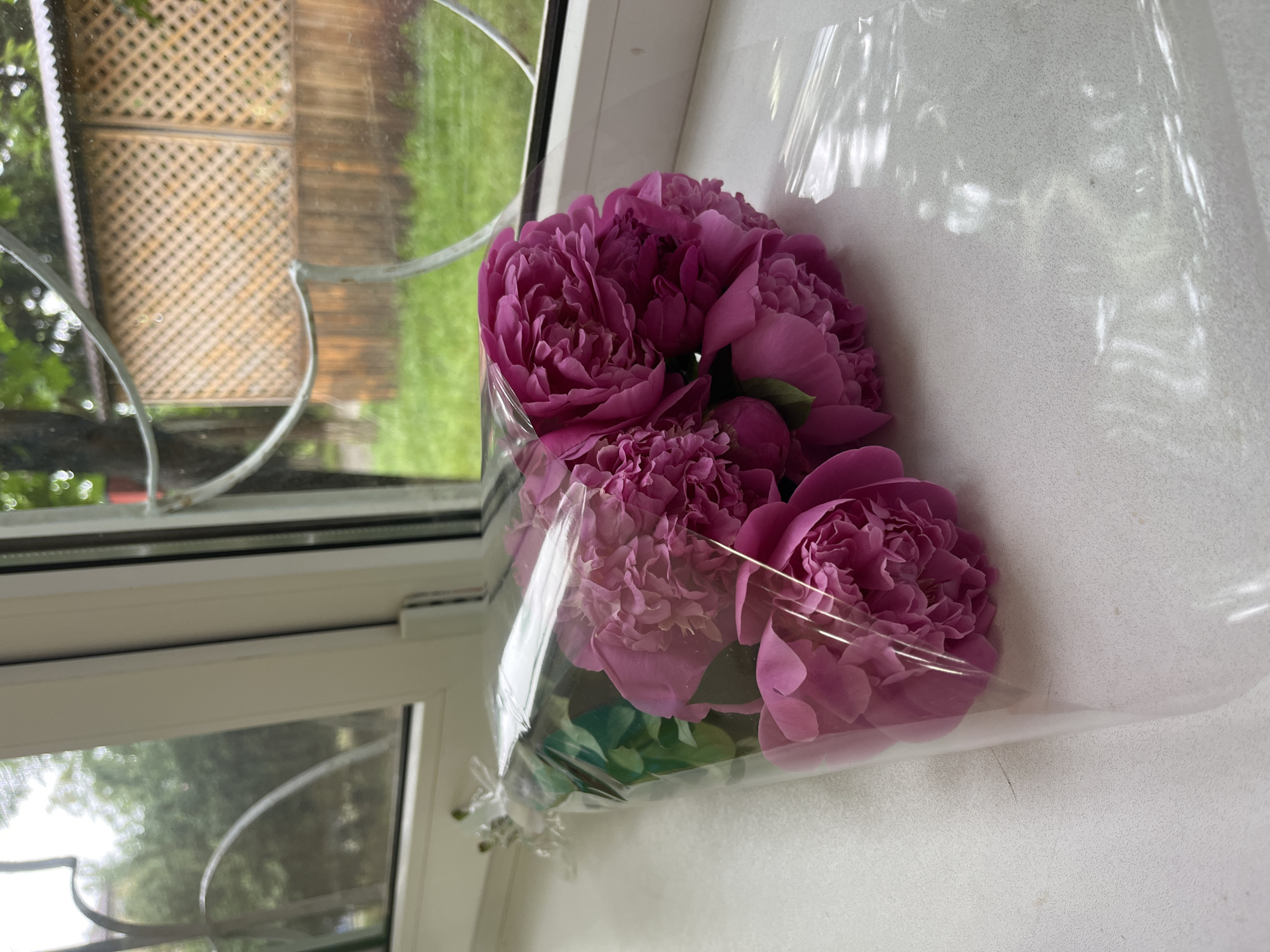A bouquet of pink peonies wrapped in clear plastic sits on a white windowsill, likely in Kaspiysk, Russia. Outside the window, a blurred view of a garden and a structure with a lattice pattern is visible. The lighting suggests an overcast day. The bouquet appears to be freshly cut, possibly a gift.