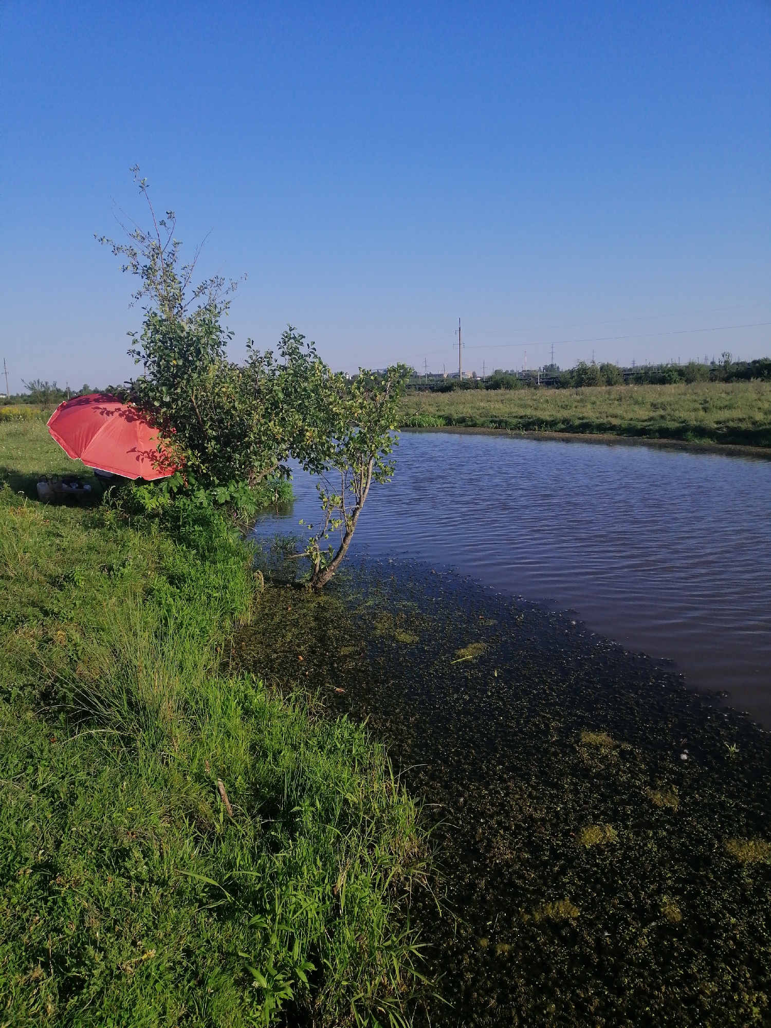 The image depicts a tranquil natural scene with a body of water and surrounding vegetation. On the left bank, a vibrant red umbrella is set up near a small tree and dense green grass, suggesting a recreational area or a spot for relaxation. The water is dark and appears to have some algae or aquatic plants floating on its surface. In the background, the landscape transitions to a grassy field with scattered trees and what appears to be distant industrial structures or power lines under a clear blue sky. The overall impression is of a peaceful, rural setting, possibly on the outskirts of Krasnoluka, Ukraine. There are no people visible in the frame.
