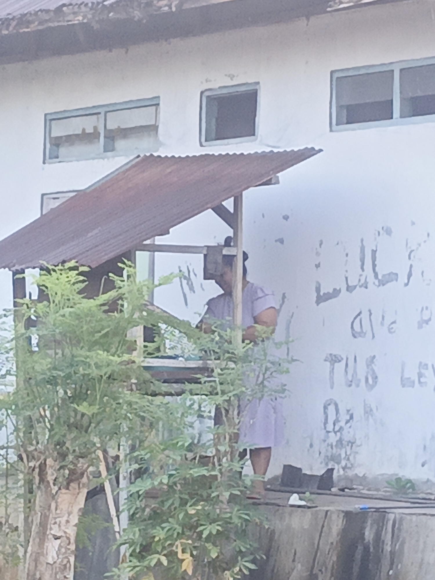 The image depicts a person standing behind a makeshift stall with a corrugated metal roof. The stall is constructed with wooden posts and appears to be located outdoors, adjacent to a white building with multiple windows. Graffiti is visible on the white building's exterior. In the foreground, lush green foliage obscures part of the scene, with a large tree trunk on the left. The overall setting suggests a street-side vendor or small establishment in a tropical or subtropical environment. The person is wearing a light purple garment. The image quality is low, making fine details difficult to discern.