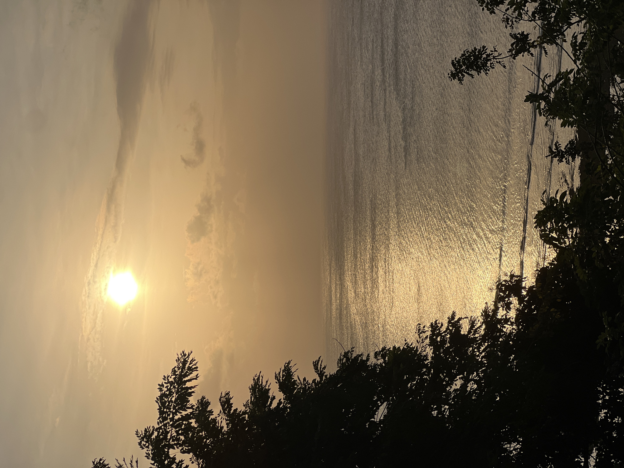 A vertical, high-angle shot captures a sunset over the ocean. Silhouetted foliage frames the left side of the image, with the leaves and branches creating a dark, textured foreground. The sun, a bright, white orb, is positioned in the upper right quadrant, casting a golden sheen across the rippling water. The sea stretches to the horizon, where it meets a hazy sky filled with soft, scattered clouds. The overall color palette is dominated by warm, muted tones of orange, yellow, and gray, creating a serene and tranquil atmosphere. The scene is likely a coastal view from an elevated point in Kuta Selatan, Indonesia, given the tropical foliage and the characteristic golden sunset over the ocean. There are no people or discernible structures visible.