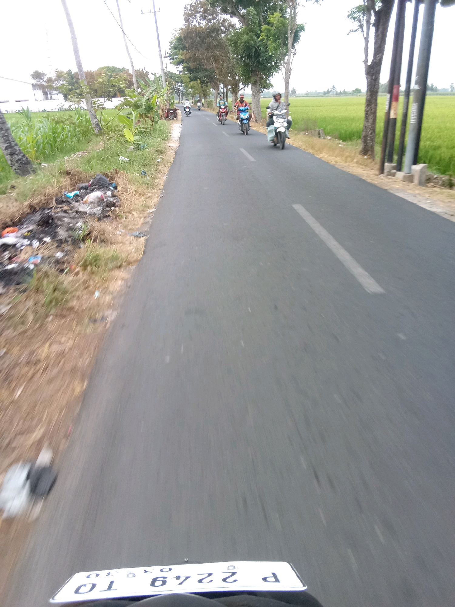 This image depicts a rural road in Ajung, Indonesia, with agricultural fields and trees lining the sides. The road is asphalt and appears to be a two-lane street with a white line marking the center. Several motorcycles are visible on the road, some carrying passengers, suggesting a moderate level of traffic. The vegetation on the left side of the road includes corn stalks and other green plants, indicating a cultivated area. There is also a noticeable amount of refuse or trash piled up on the shoulder of the road on the left. The sky is overcast, and the overall lighting suggests it is daytime, likely in the late morning or early afternoon. The perspective appears to be from a moving vehicle, possibly a motorcycle, looking forward.