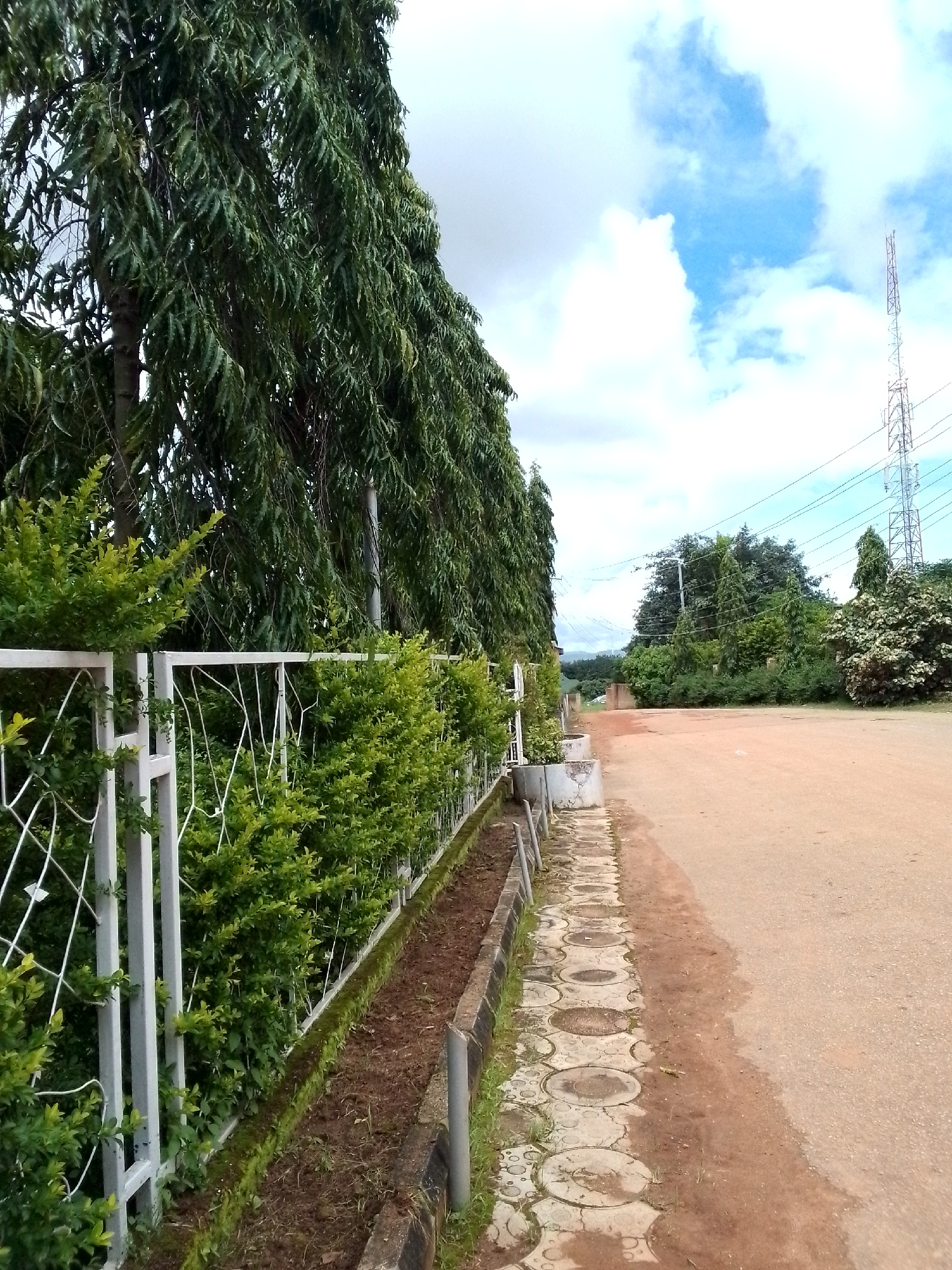 The image captures a roadside scene with lush vegetation and urban infrastructure, likely in Jos, Nigeria. On the left, a white metal fence lines a walkway with circular concrete paving stones. Behind the fence, dense green bushes and tall, narrow trees with feathery leaves create a verdant barrier. The walkway transitions into a light brown dirt and gravel road that stretches into the distance.
In the background, a cluster of trees stands alongside power lines and a tall telecommunications tower. The sky is partly cloudy with bright blue patches. The overall impression is a well-maintained, semi-urban environment, possibly an administrative area or a residential street with ample greenery. No people or animals are visible in the frame. The lighting suggests it is daytime, with the sun casting shadows. The ground on the road appears slightly damp in places.