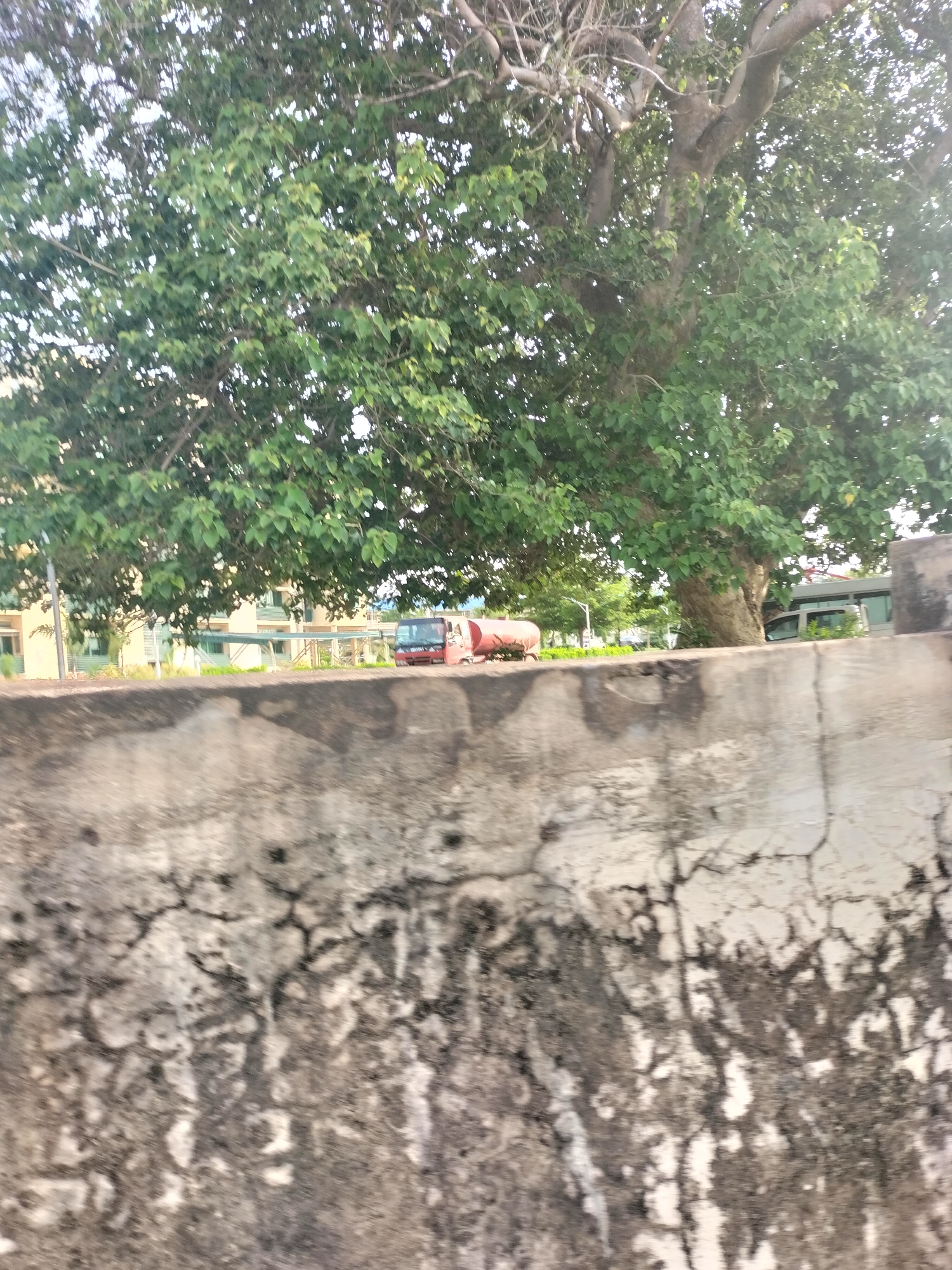 A low-angle shot shows a concrete wall in the foreground, with a large tree and a red truck in the background. The truck, a utility vehicle with a water tank, is parked on a paved surface beyond the wall. In the distance, there are buildings with light-colored facades and windows, suggesting an urban or institutional setting. The scene appears to be in Jalingo, Nigeria.