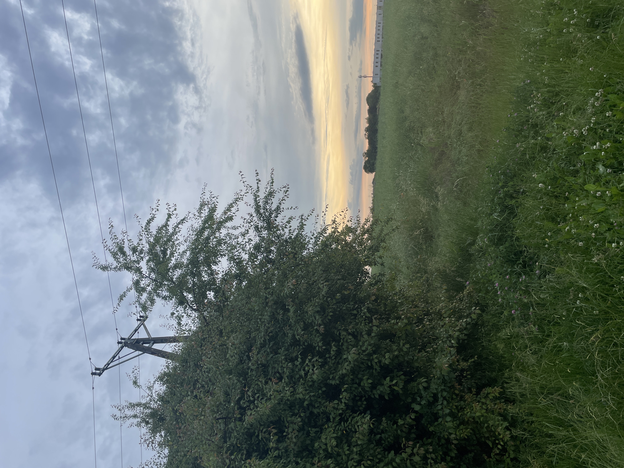 The image captures a rural landscape scene in Wysoka, Poland, at dusk. A prominent wooden power pole with wires stretches across the upper portion of the frame, partially obscured by the foliage of a large, dense green tree on the left. In the middle ground, a vast field of tall green grass and wildflowers extends towards a distant line of trees. Along the horizon, a modern building complex with a telecommunications tower stands against the twilight sky, which is painted with hues of orange, yellow, and gray clouds. The overall atmosphere is serene and quiet.