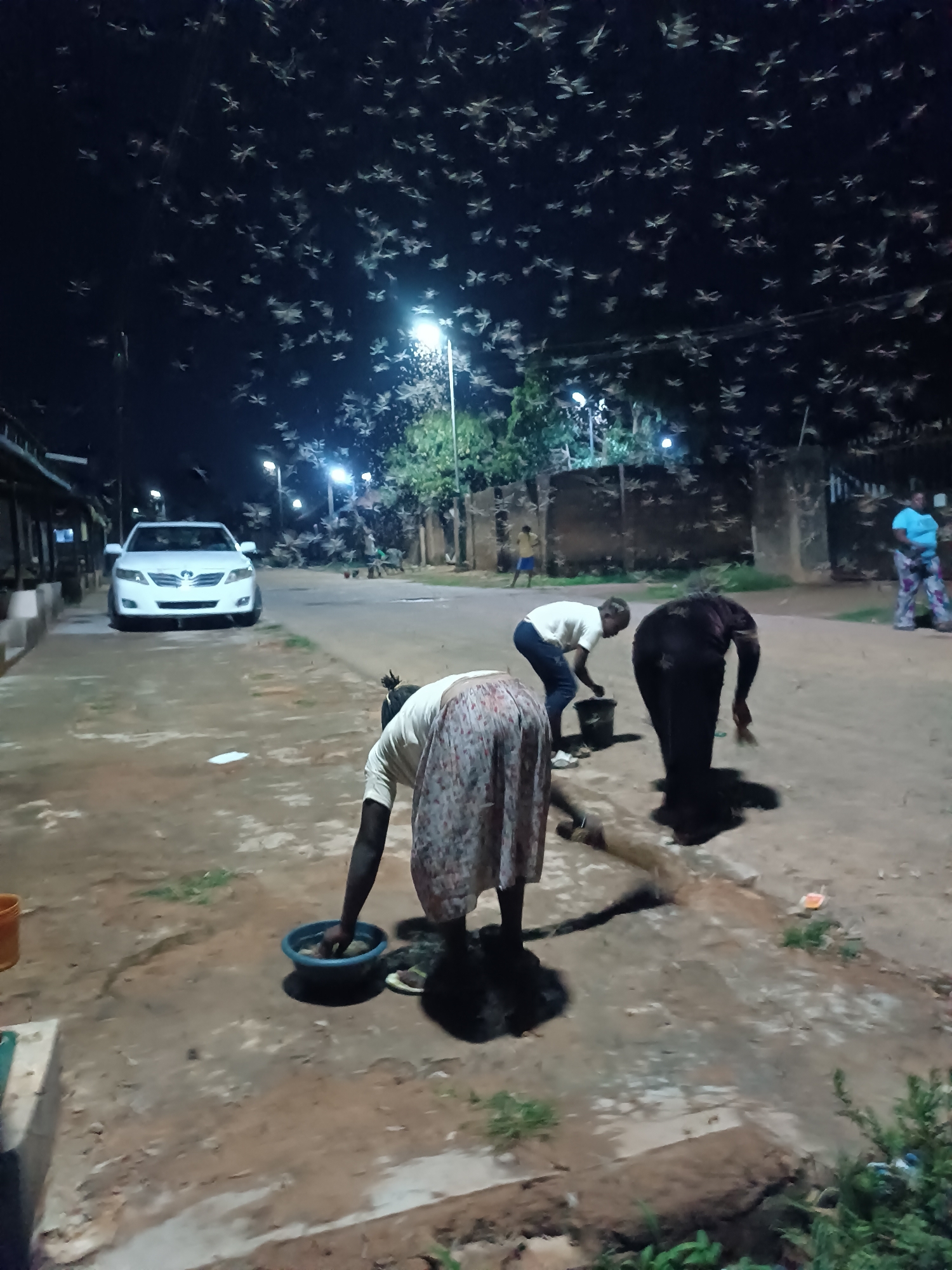 The image shows an outdoor scene at night in Jos, Nigeria, filled with numerous moths in the sky. Three individuals are bent over, appearing to be collecting the insects. One person is using a blue bowl, another has a black bucket, and the third is bending towards the ground. In the background, a white car is parked on the side of the road, and two people are standing near a building. Streetlights illuminate the scene. The ground appears to be a rough, uneven surface.