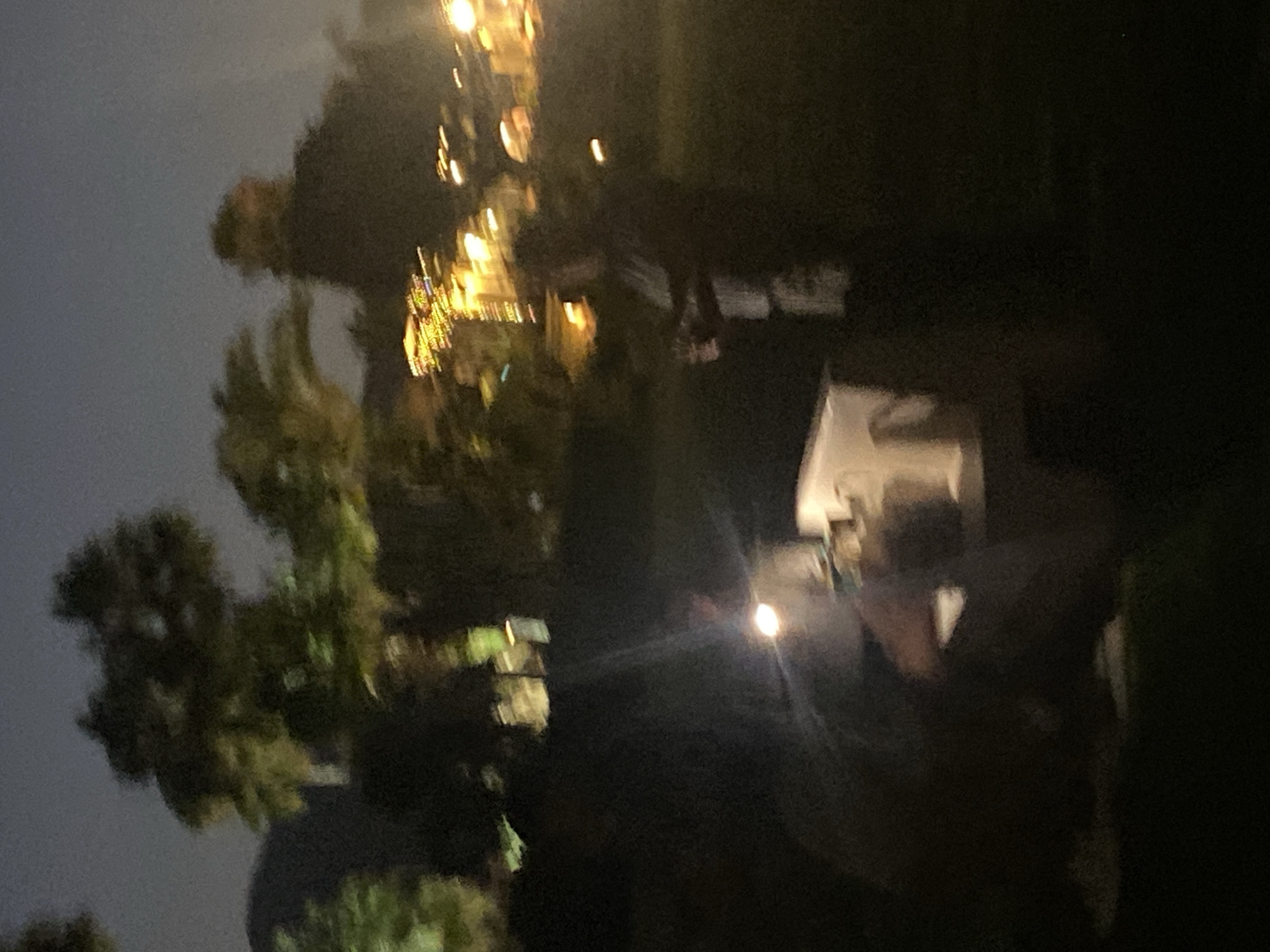 The image depicts an outdoor scene at night, with a person standing in the foreground, partially illuminated by a bright light source to their left. This individual appears to be holding a small, dark object. To the right of this person, another figure is visible, also in silhouette, with the background displaying blurred lights from buildings and trees, suggestive of an urban or semi-urban setting. The overall ambiance is dark, with artificial lighting creating glowing orbs and streaks due to the low light conditions and possibly motion blur. The environment suggests a park or garden area within the city of Estepona, Spain, given the palm trees and the style of ambient lighting visible.