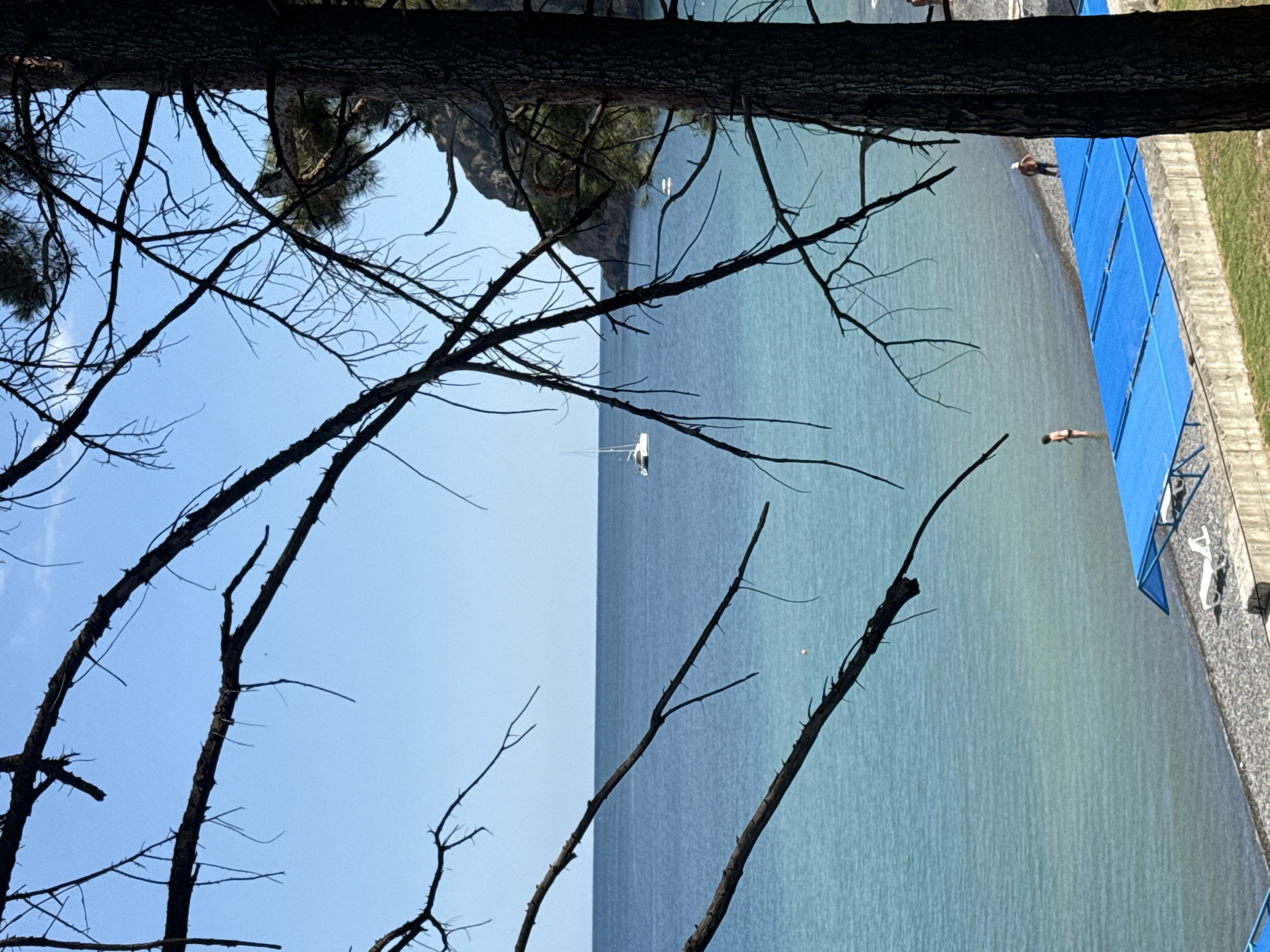 The image depicts a coastal scene, likely in Partenit, Ukraine, as suggested by the context. The foreground is dominated by the silhouette of a tree with dark, bare branches against a clear blue sky. Beyond the tree, a tranquil sea stretches towards the horizon. The water transitions from a lighter turquoise near the shore to a deeper blue further out.
Along the pebbled shoreline, several blue sunshades are set up. Two individuals are visible in the water, one standing and the other partially submerged. A white lounge chair is placed on the beach near the sunshades. In the distance, a white catamaran is anchored on the water, and a rocky, tree-covered hill forms the backdrop on the right side of the frame. The overall impression is one of a peaceful summer day at the seaside.
