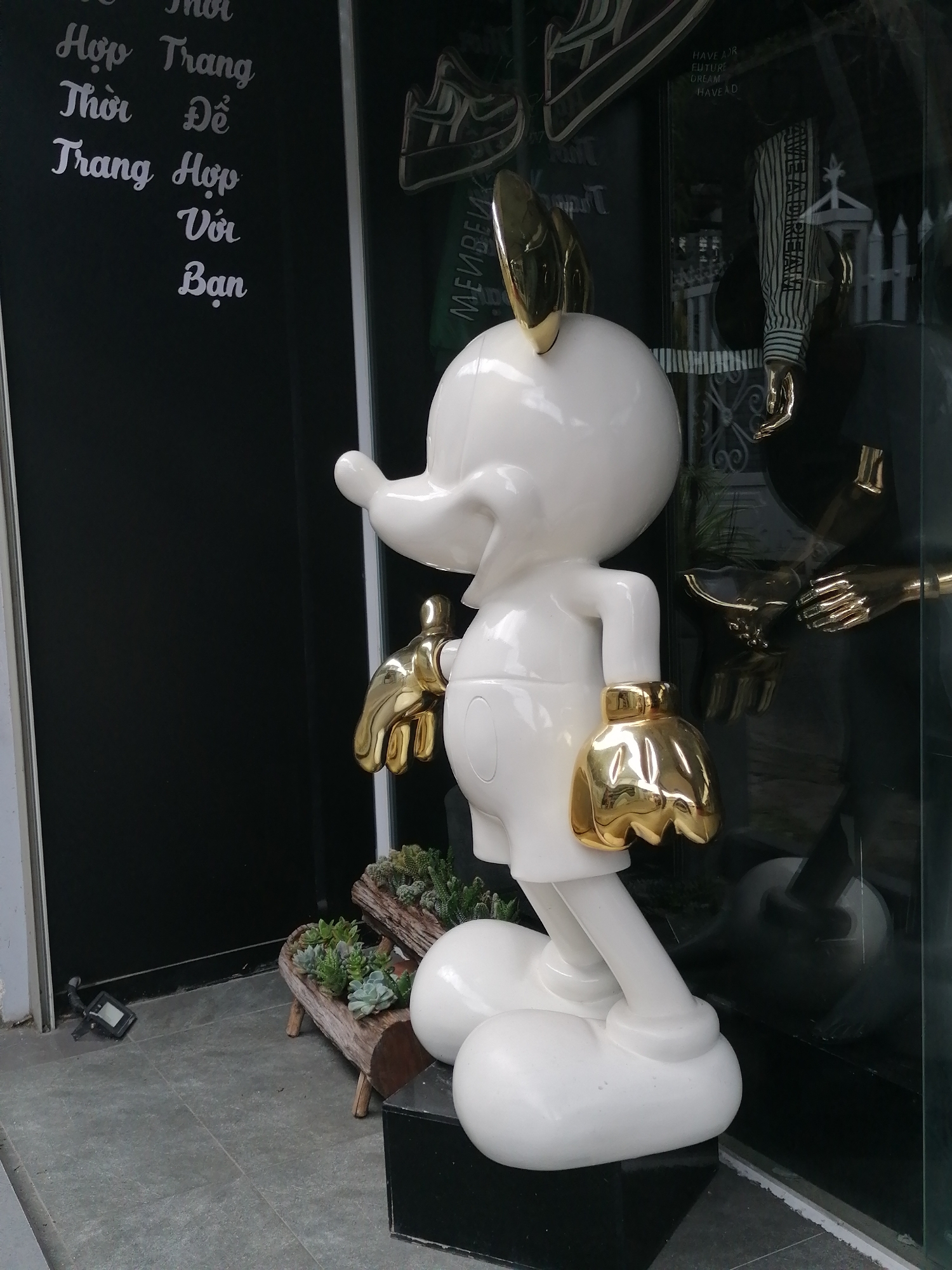 An outdoor full-shot of a large, white statue of Mickey Mouse with gold accents is positioned in front of a dark, reflective glass window. The statue is seen from the side and is facing to the left, with its right hand raised and its left hand lowered. The statue has large, rounded ears, a prominent snout, and wears white shorts with two large white circles. Its gloves and ears are a shiny gold color.
To the left of the statue, on a black background, is white text written in a cursive font. The text appears to be in Vietnamese and reads: "Thời Trang", "Hợp Thời", "Trang Hợp", "Với Bạn". This translates to "Fashion", "Timely", "Fashionable", "With You".
In the background, visible through the glass, are reflections and items within a store. These include what appear to be garments with vertical stripes, mannequins, and decorative fencing.
In the foreground, to the left of the statue, is a small black electronic device, possibly a security camera or timer, placed on a grey tiled floor. To the right of the statue's base, and slightly behind it, is a rustic wooden planter box filled with various succulents and cacti. The planter is supported by two wooden legs. The statue stands on a black rectangular base. The overall environment suggests a retail or artistic display space. The inscription on the wall suggests a fashion-related establishment. Based on the visible text and common types of establishments in Da Lat, Vietnam, this scene is likely situated outside a boutique or shop in the city of Da Lat, Vietnam.