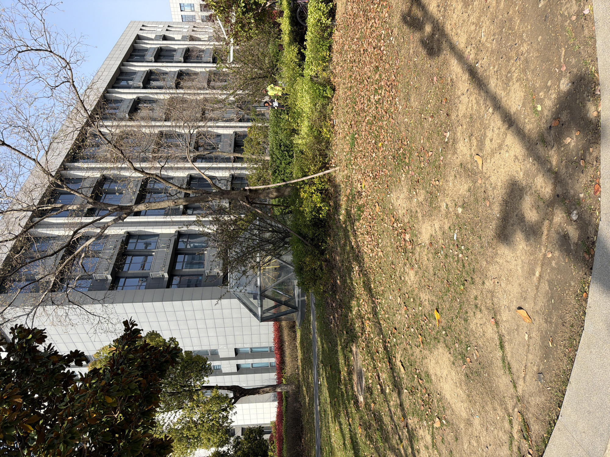 The image shows a building in Jiangning District, China, characterized by a modern architectural style with repetitive window patterns and gray paneling. In front of the building, there are trees, bushes and foliage, with a mix of green and reddish-brown leaves, indicating a transition between seasons. The ground is covered with fallen leaves and grass. In the foreground, the shadow of a light post is visible. Two people are present beyond the tree line, interacting with each other and possibly a bicycle. The sky is clear, suggesting fair weather conditions.