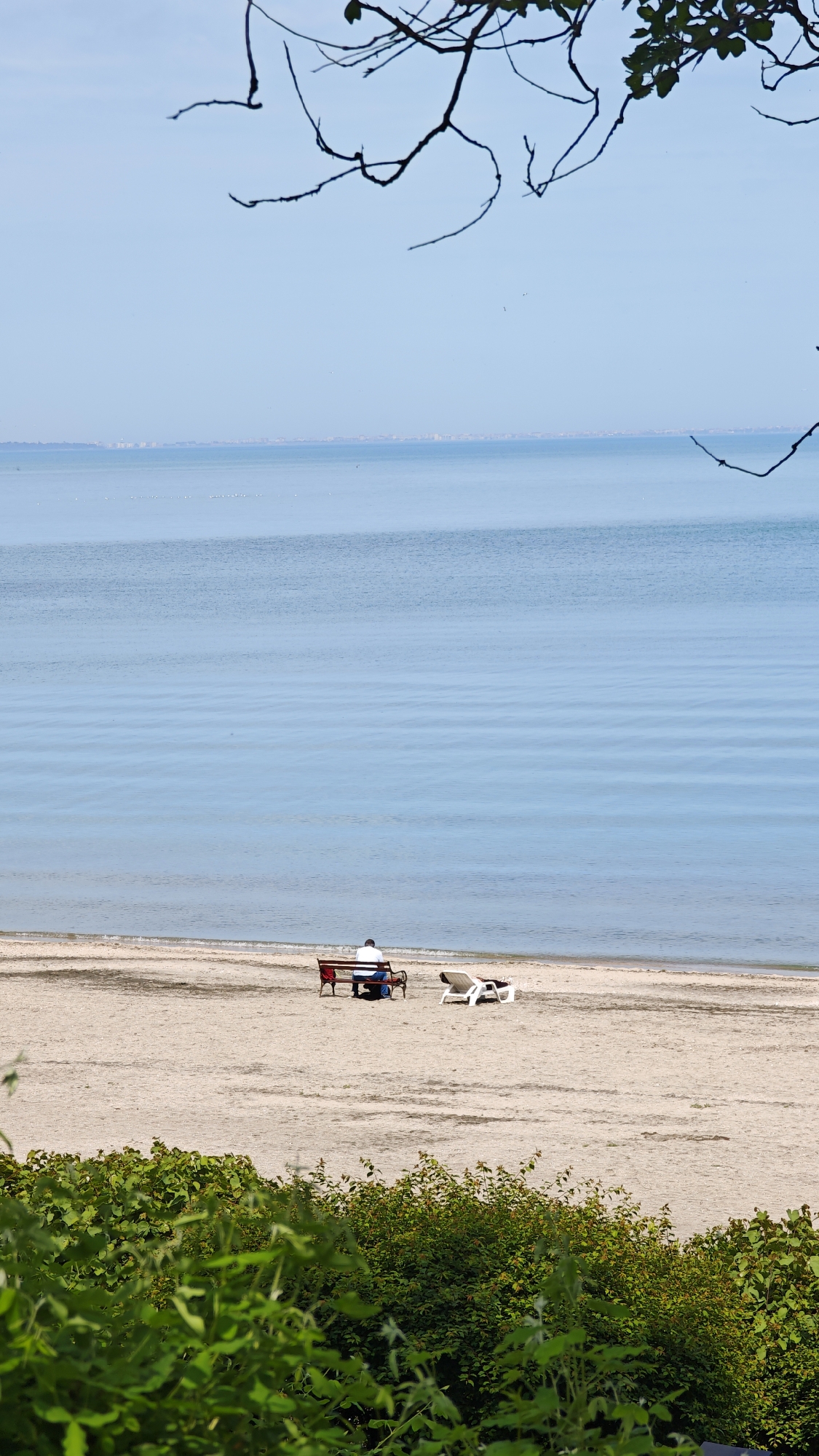 A panoramic view from an elevated position shows a sandy beach stretching along the coastline of Burgas, Bulgaria. The tranquil sea, faintly layered with horizontal patterns, meets a light blue sky. In the center of the view, a person sits on a red bench at the edge of the beach, near two white lounge chairs. The scene is framed by tree branches at the top and verdant bushes in the foreground. In the distance, a faint skyline suggests the city's horizon.