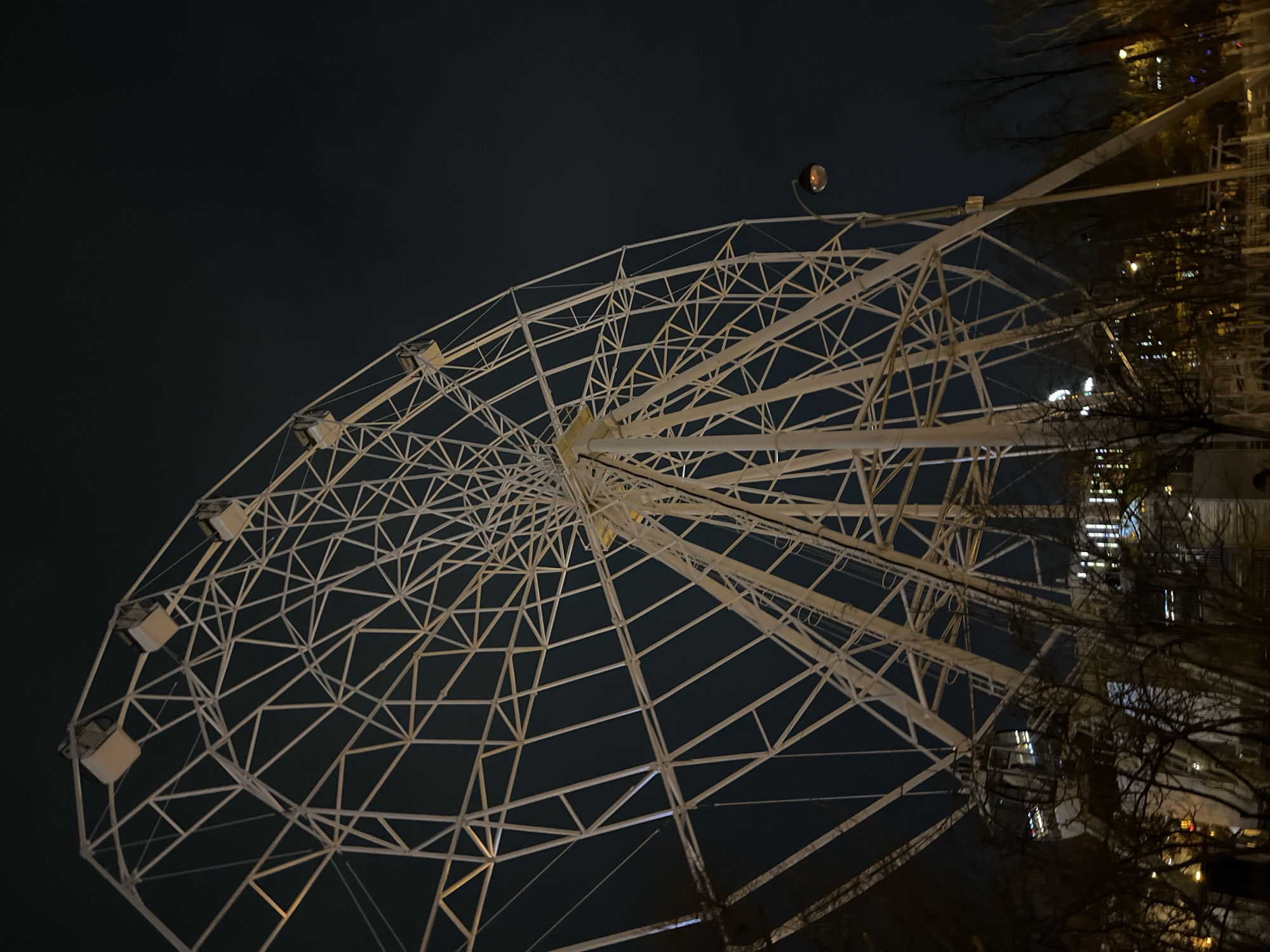 The image shows a Ferris wheel at night. The wheel is white and illuminated. The sky is dark. Some trees are visible to the right of the wheel. The photo was taken in the city of Tyumen, Russia.