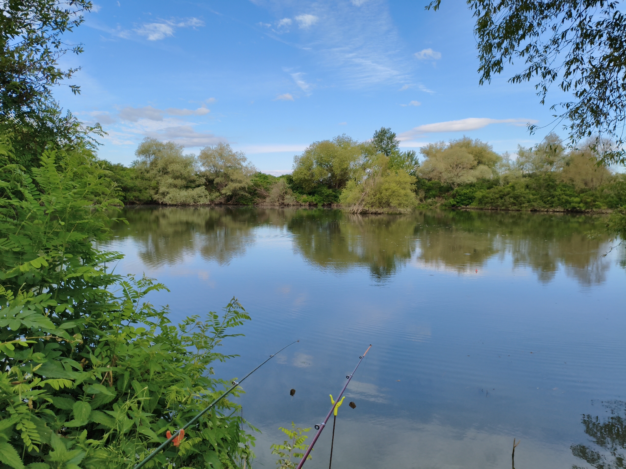 A wide-angle, eye-level shot captures a serene lake scene under a bright blue sky with scattered white clouds. The foreground on the left is dominated by lush green foliage and vegetation, with two fishing rods extending into the water on the right. The lake itself is calm, reflecting the surrounding trees and the sky. Across the water, a dense line of trees with light green and yellowish-green leaves forms the backdrop, their reflections shimmering on the lake's surface. The environment suggests a natural setting, possibly a park or a rural area, and the presence of fishing rods indicates recreational activity. There are no people visible in the image. The scene is located in Krushare, Bulgaria.