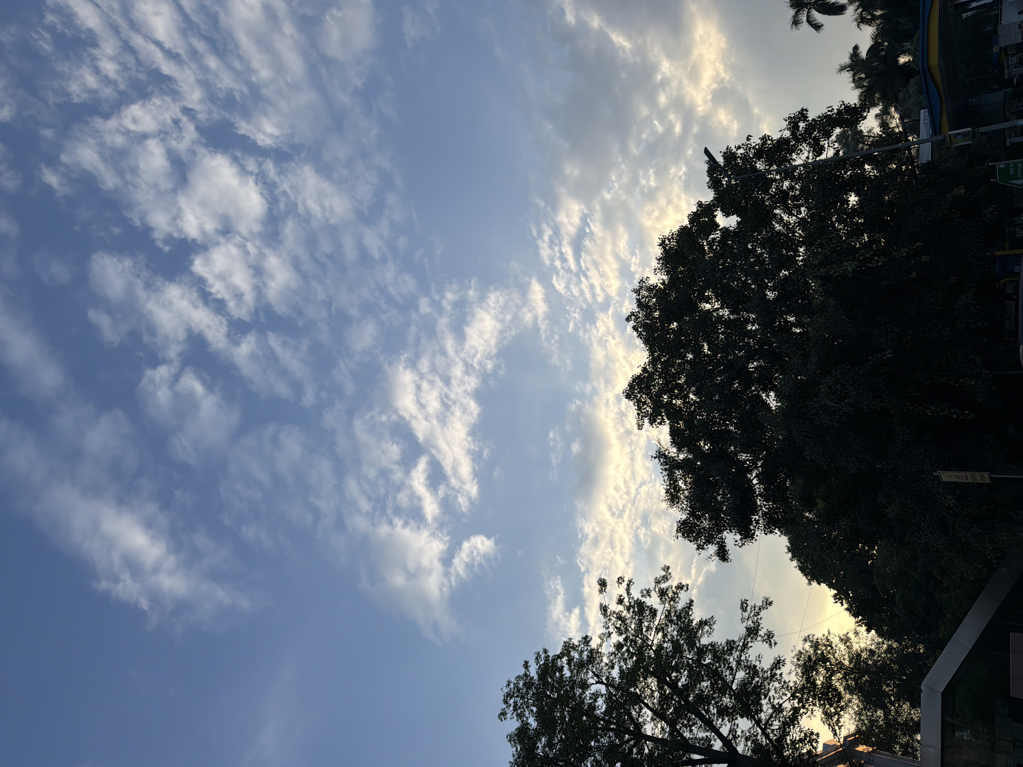 The image captures a view of the sky from ground level in New Delhi, India. The sky is a clear blue, with scattered white clouds forming wispy patterns. The sun is setting or rising, casting a warm, golden glow on the clouds from below. In the foreground, silhouetted against the bright sky, are the dense canopies of large trees. To the left, a portion of a building structure is visible, suggesting an urban setting. The overall impression is one of a peaceful evening or morning scene in a city park or along a tree-lined street.