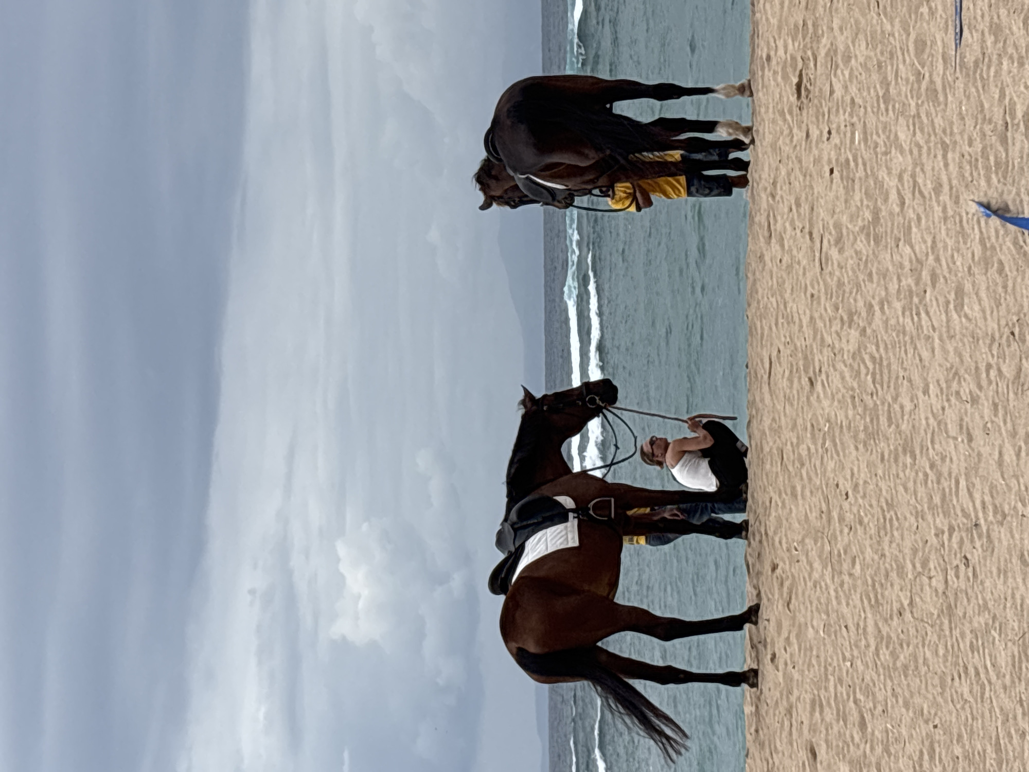 Two horses stand on a sandy beach in Kuta Selatan, Indonesia, near the ocean. One horse is a chestnut color with a white saddle pad, and the other is dark brown. Both horses are saddled. A person in a white tank top and dark pants is crouched in front of the chestnut horse, holding a rope. Behind the horses, two individuals stand, one in a yellow shirt and the other in a blue shirt. The sky is overcast with gray clouds. The ocean has waves breaking, and in the distance, a mountainous coastline is visible. The sand is light brown and appears dry.