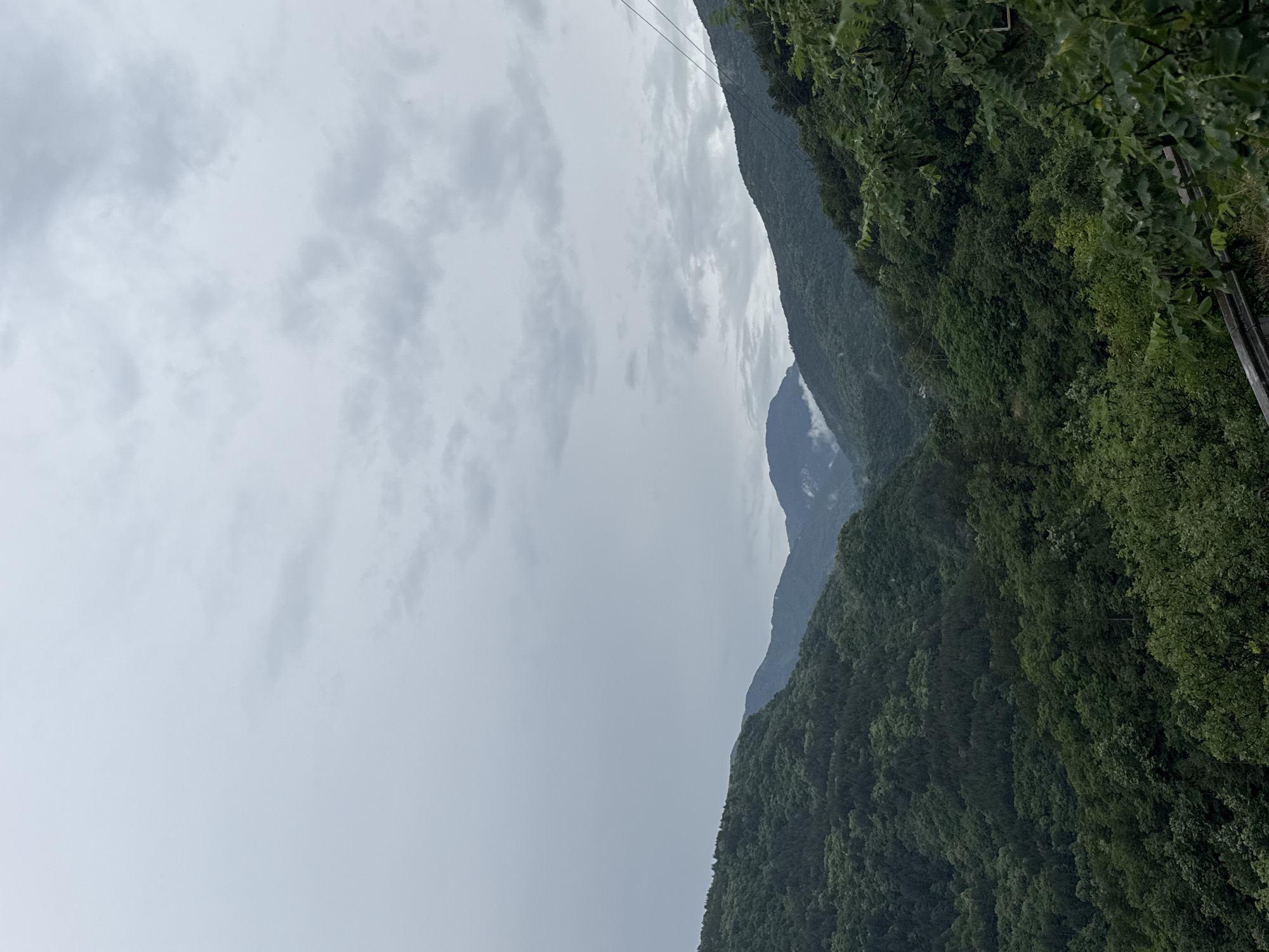 The image depicts a view of rolling, densely forested mountains under a cloudy, overcast sky. The foreground shows the tops of trees and a dark, metal barrier, suggesting the vantage point is from a road or elevated path. The midground and background are filled with layers of mountains, covered in varying shades of green foliage. Wisps of mist or fog are visible in the valleys between some of the distant peaks, adding depth to the landscape. The overall impression is a lush, natural environment, likely in a rural or mountainous region. The location is identified as being in the vicinity of Lyaskovo, Bulgaria.
