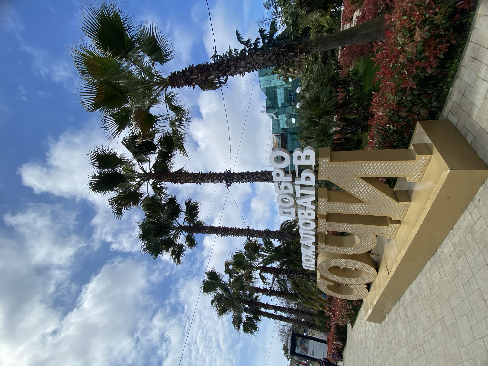 The image shows a vertical view of a city street in Sochi, Russia. Tall palm trees are visible against a bright blue sky with scattered clouds. Power lines cross the sky. In the foreground, a large golden sign with white Russian text "ДОБРО ПОЖАЛОВАТЬ В СОЧИ" (Welcome to Sochi) is positioned on a paved sidewalk. Behind the sign are green bushes and red foliage. Further back, a modern building with glass windows is visible. There is a billboard and possibly people walking in the background. The orientation suggests the photo was taken from a slightly elevated position, possibly holding the phone vertically.