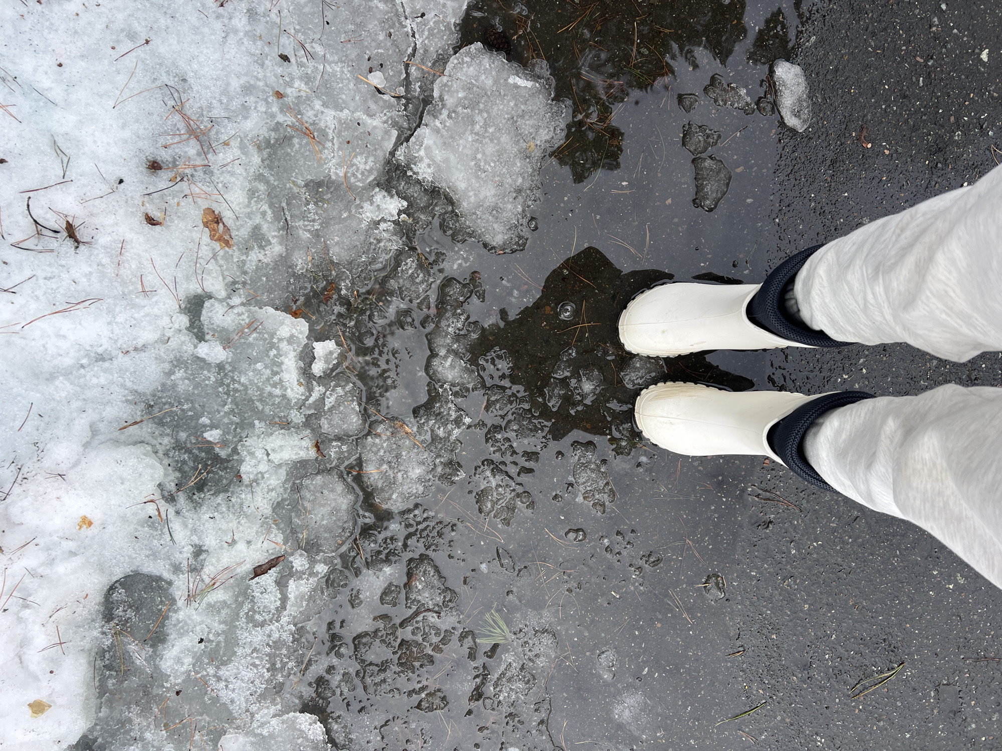 A top-down view captures a person standing on a wet, dark paved surface in Chaikovsky, Russia. The individual wears light-colored pants and white rubber boots with dark blue/black cuffs. The ground transitions from melting snow and ice in the upper half of the frame to puddles and wet pavement in the lower half. The melting snow and ice contain scattered pine needles, small twigs, and dried leaves. Reflections of an indeterminate overhead environment are visible in the standing water.