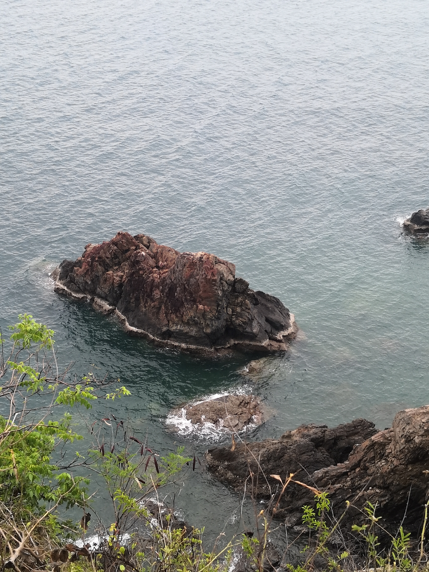 The image shows a rocky coastal scene in Bac Nha Trang Ward, Vietnam. A large, reddish-brown rock formation sits in the ocean, partially submerged with white foam around its base. Smaller rock formations are visible nearby. In the foreground, vegetation including green-leaved plants and dry branches grows on the rocky coast. The ocean is gray-blue with visible ripples. The scene is viewed from a high vantage point, looking down at the coastal area.