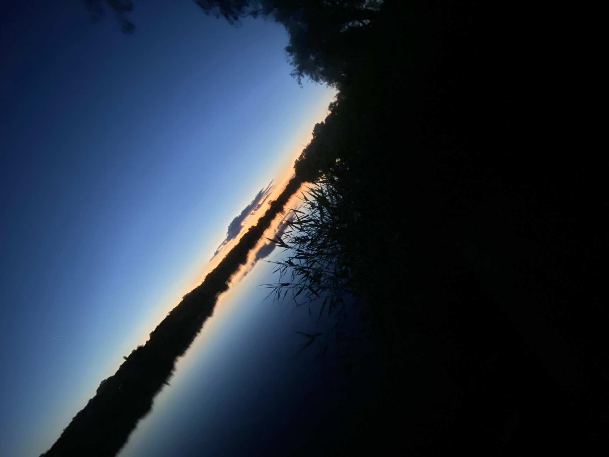 The image depicts a twilight scene over a body of water, likely a lake or river, as indicated by the calm, reflective surface. The sky is a deep blue, transitioning to hues of orange and yellow near the horizon, suggesting either sunrise or sunset. Silhouetted against this colorful sky is a dark, undulating treeline on the far bank of the water. In the foreground, dark reeds and vegetation are visible, with the water extending towards the viewer, mirroring the sky and the distant treeline. The overall composition is diagonal, with the horizon line running from the bottom left to the upper right of the frame. The image is devoid of any people or specific urban features, placing the scene in a natural, potentially rural, environment. Without additional information, the specific location within the city of Ustyvytsia, Ukraine, cannot be confirmed from the visual content of the image alone.