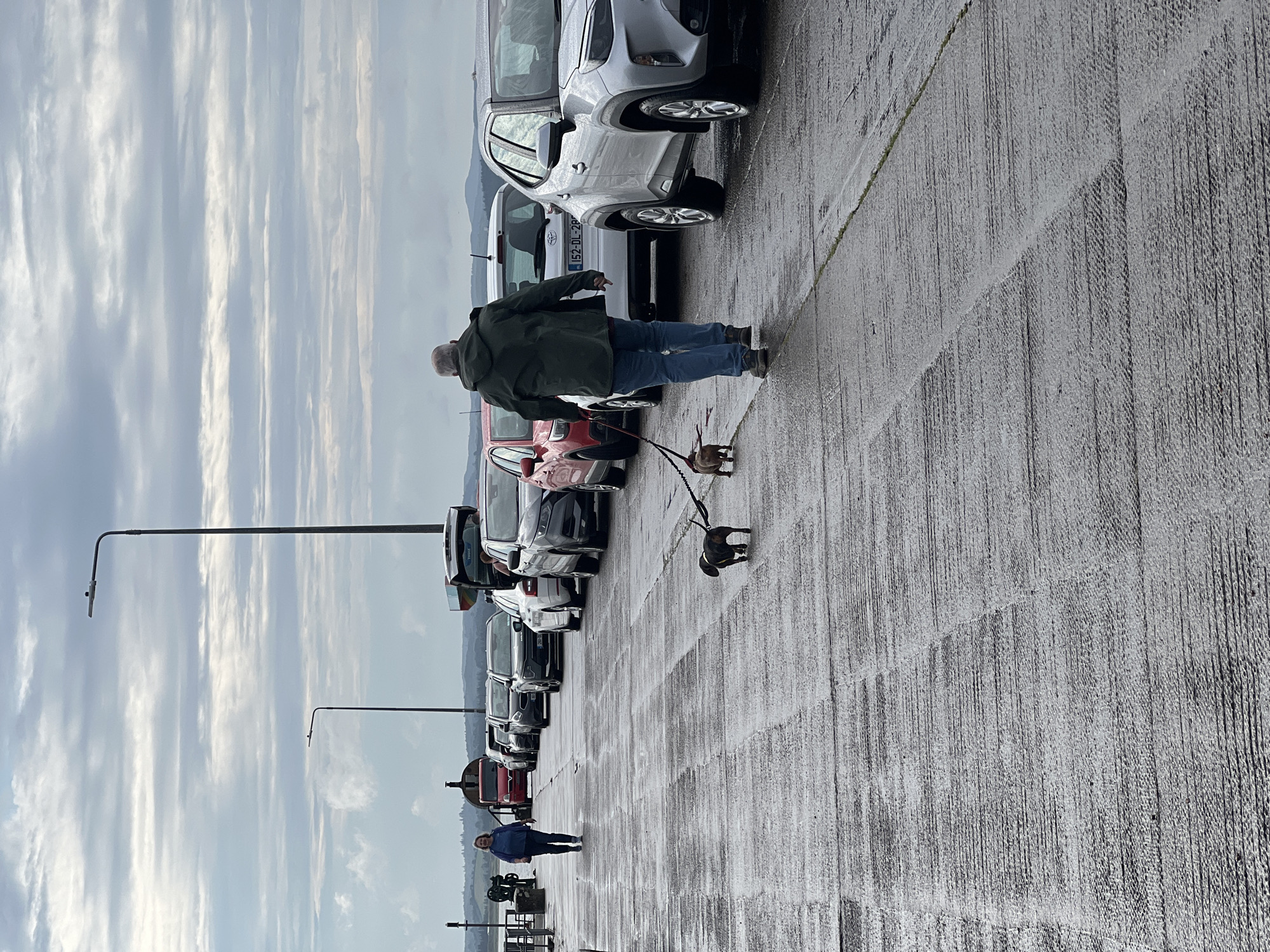 This is a full, eye-level shot of a concrete pier with a row of parked cars. The sky is overcast with scattered clouds. A man in a green jacket and blue jeans walks away from the camera, leading two small dachshunds on a leash. The dogs are dark brown and black. To the left, a woman in a blue jacket walks towards the camera, away from the row of cars. The pier is wet and reflects the light. A series of streetlights are visible along the pier. In the distance, a red vehicle is parked near a structure that appears to be a train car. The landscape beyond the pier is hilly. The license plate on the silver car in the foreground reads "152-DL-2PR".