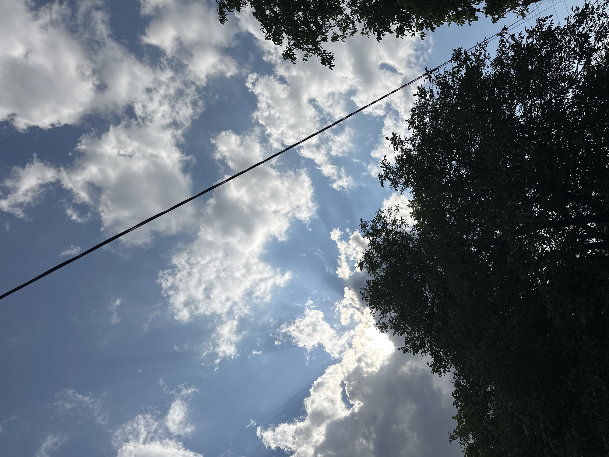 The image depicts a sky view featuring a thick line of dark clouds partially obscuring the sun, which emits visible crepuscular rays. A power line stretches diagonally across the frame from the top left to the bottom right. Silhouetted against the sky are the dark green leaves of trees in the foreground. The scene is likely from Yessentuki, Russia, a city known for its resort parks and mineral springs, suggesting an outdoor setting within the city. There are no people or discernible actions visible in the image.