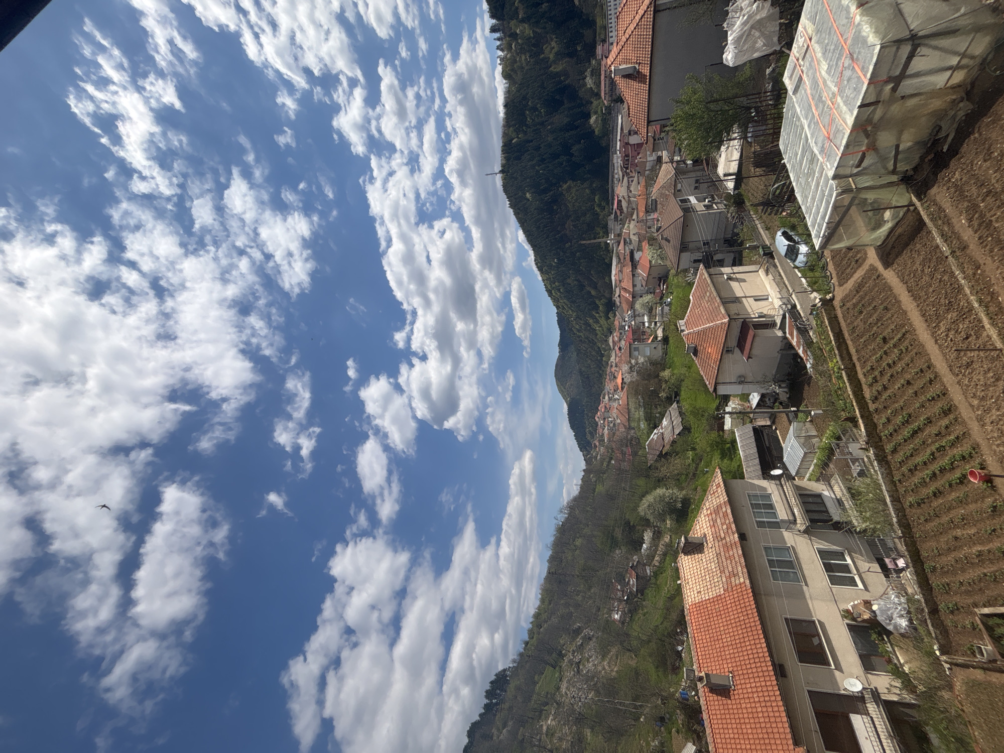 The image presents an elevated view of a scene that encompasses elements of nature and human habitation, seemingly situated in or near the city of Zlatograd, Bulgaria. A prominent feature is the expansive blue sky filled with scattered white cumulus clouds. In the foreground, one observes a residential area with houses bearing red-tiled roofs interspersed with green spaces and gardens. A field with cultivated rows of plants is also visible. The built structures appear to be arranged along a hillside. The background includes a densely forested slope, and the overall impression is that of a small town or rural setting nestled within a hilly landscape. The lighting suggests a sunny day.