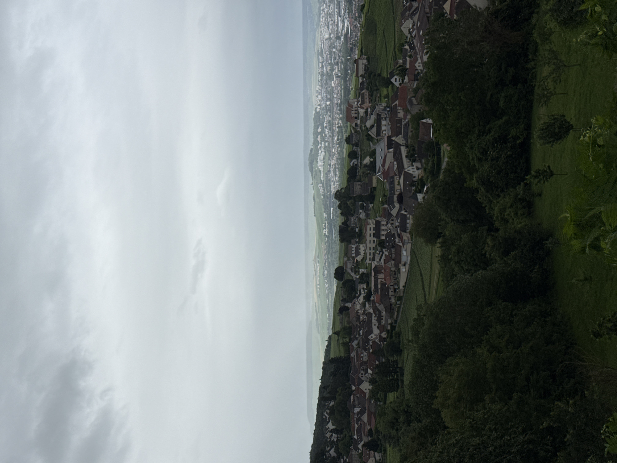This image presents an elevated panoramic view of a village nestled within a valley or plain, seen from a higher vantage point, likely a hillside or forest edge. The scene is dominated by an overcast, light grey sky that fills the upper portion of the frame, suggesting cloudy weather and subdued lighting.
The midground features a sprawling village or town with numerous buildings, predominantly characterized by reddish-brown tiled roofs and light-colored facades (white, cream, or light grey). These structures are densely packed and extend across the undulating terrain, indicating a long-established settlement. Adjacent to and interspersed with the houses are extensive green areas, including what appear to be terraced vineyards with their characteristic rows of cultivation, and patches of dense forest.
In the far distance, the landscape recedes into a hazy plain where more distant buildings can be faintly discerned, blending with the muted tones of the horizon. The immediate foreground on the right side of the image is occupied by dark green, dense foliage and trees, suggesting the viewer is positioned within or at the edge of a wooded area overlooking the village. Some lighter green grass and sparse trees are also visible here.
No people or specific activities are visible in the image. The architecture and landscape elements are typical of a rural European setting, aligning with the location context of Champillon, France. The time of day appears to be daytime, under heavily clouded conditions. No visible text is present in the image. The overall mood is quiet and serene, under a soft, diffused light.