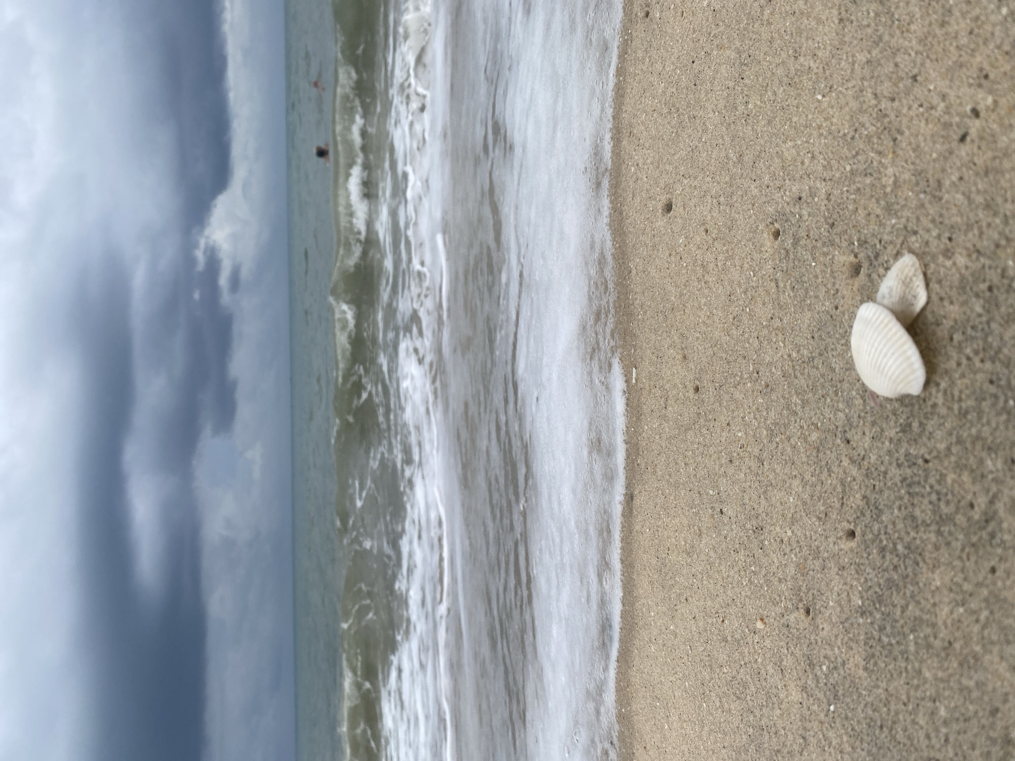 The image captures a beach scene in Phu Thuy Ward, Vietnam, under a heavily overcast sky. The photograph is taken at an oblique angle, looking down the shoreline.
In the foreground, a sandy beach occupies the right side of the frame. Two distinct white seashells, one slightly larger and more ridged than the other, rest on the wet sand in the bottom right corner. The sand itself is a light brown color, interspersed with darker grains.
The middle section of the image is dominated by the ocean. Waves are actively breaking and receding, creating a significant line of white foam where the water meets the sand. Further out in the water, two small, indistinct figures, likely people, are visible partially submerged. One figure is closer to the shore than the other.
The left side and top portion of the image reveal a dark, cloudy sky, suggesting overcast weather, possibly indicative of an impending storm or a generally gloomy day. The overall lighting is diffused, consistent with heavy cloud cover during daytime. There is no visible text in the media file.