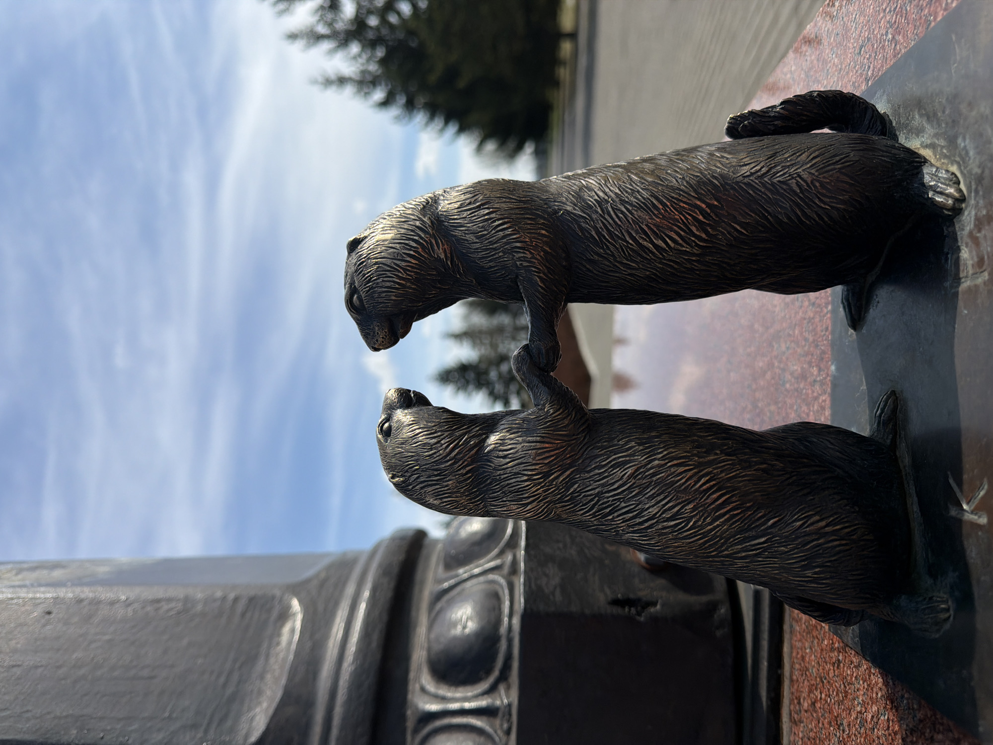 A low-angle, eye-level shot shows two bronze otter statues on a monument. The otters are touching paws and are reflected on the dark surface of the monument. The monument is decorated with a red granite border and is set in an outdoor setting with a blue sky and white clouds. The monument is located near a street and a grassy area with trees in the city of Krasnoyarsk, Russia.