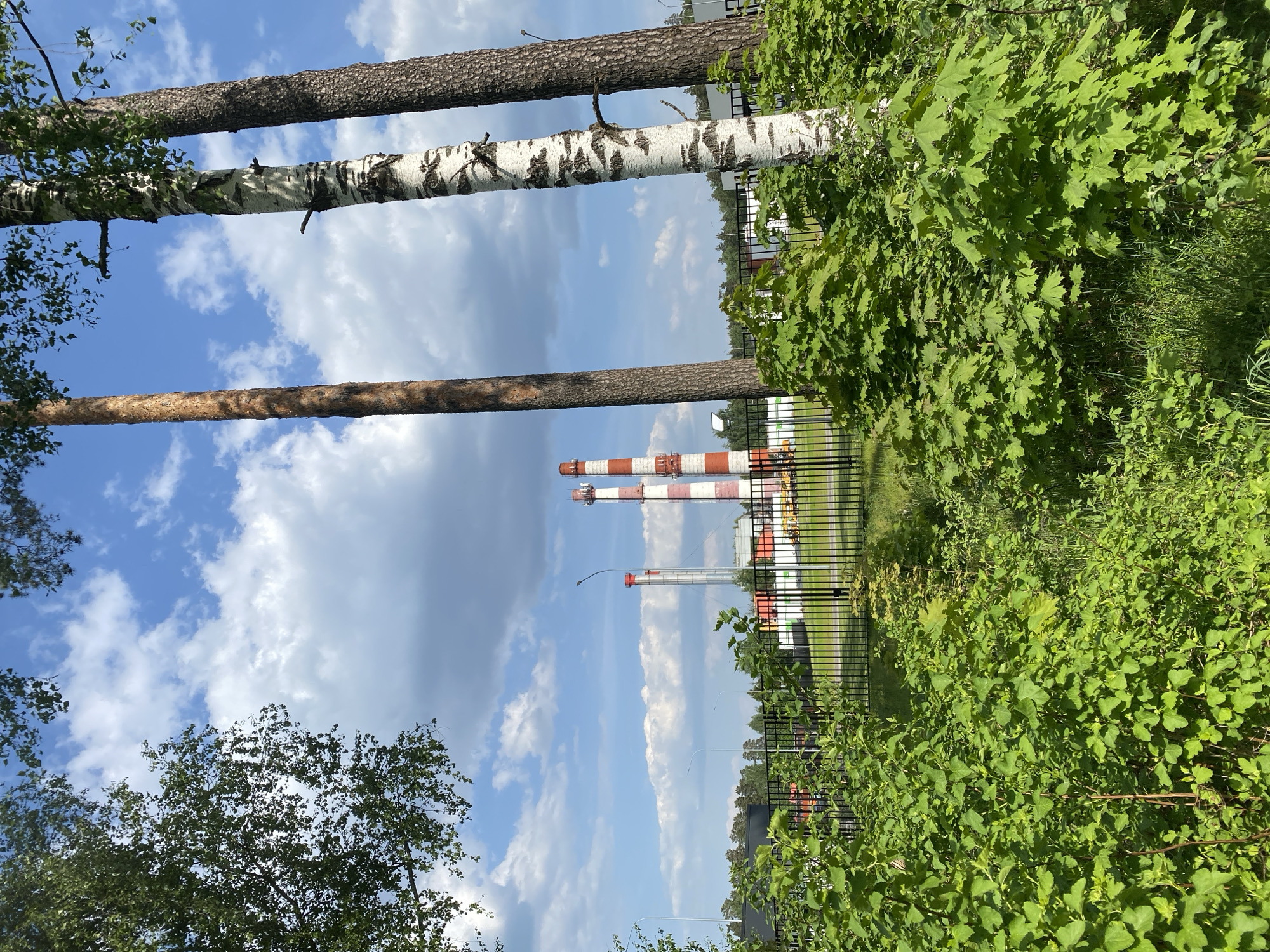 The image shows a scene with three industrial chimneys striped in red and white rising above a black metal fence. The chimneys appear to be part of an industrial facility. Tall trees, including at least one birch, are visible in the foreground. Lush green foliage fills the foreground on the right side, partially obscuring the fence. The sky is partly cloudy with shades of blue and white. The location is not apparent from the image.
