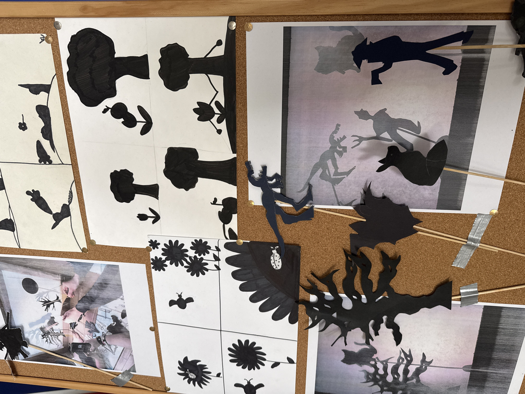 A cork bulletin board, located in Sofia, Bulgaria, displays a collection of artistic materials related to shadow puppetry and silhouette art. The board is filled with various papers and cut-out figures, predominantly in black and white.
On the left side, several square papers showcase hand-drawn black silhouettes of plants, trees (some resembling broccoli), and abstract forms on white backgrounds. These appear to be design studies or templates for shadow puppets. Below these, a larger rectangular photograph captures a pair of hands manipulating intricate shadow puppets behind a screen, providing context for the project.
The right side of the board features two larger prints that depict scenes from what appears to be a shadow puppet performance or setup. Overlaying these prints are actual black silhouette cutouts, some attached to thin wooden sticks, creating a layered, three-dimensional effect. These cutouts include human-like figures in motion and stylized creatures. Further down on the right, a large, ornate black silhouette, resembling a monster or an abstract plant, is also attached to sticks and taped to the board.
In the bottom center, a grid of four smaller squares displays various black silhouettes, including flowers, a bee, and a stylized, sharp-toothed monster figure. A small, white cutout of a ladybug with black spots rests on a large, fan-shaped black silhouette.
The papers are secured to the board with silver thumbtacks, and some of the wooden sticks are fastened with silver duct tape. The overall theme is monochromatic, focusing on the distinct shapes and forms of the silhouettes. The collection suggests a creative project involving the design and display of shadow art or puppets. No discernible text is visible on any of the materials.