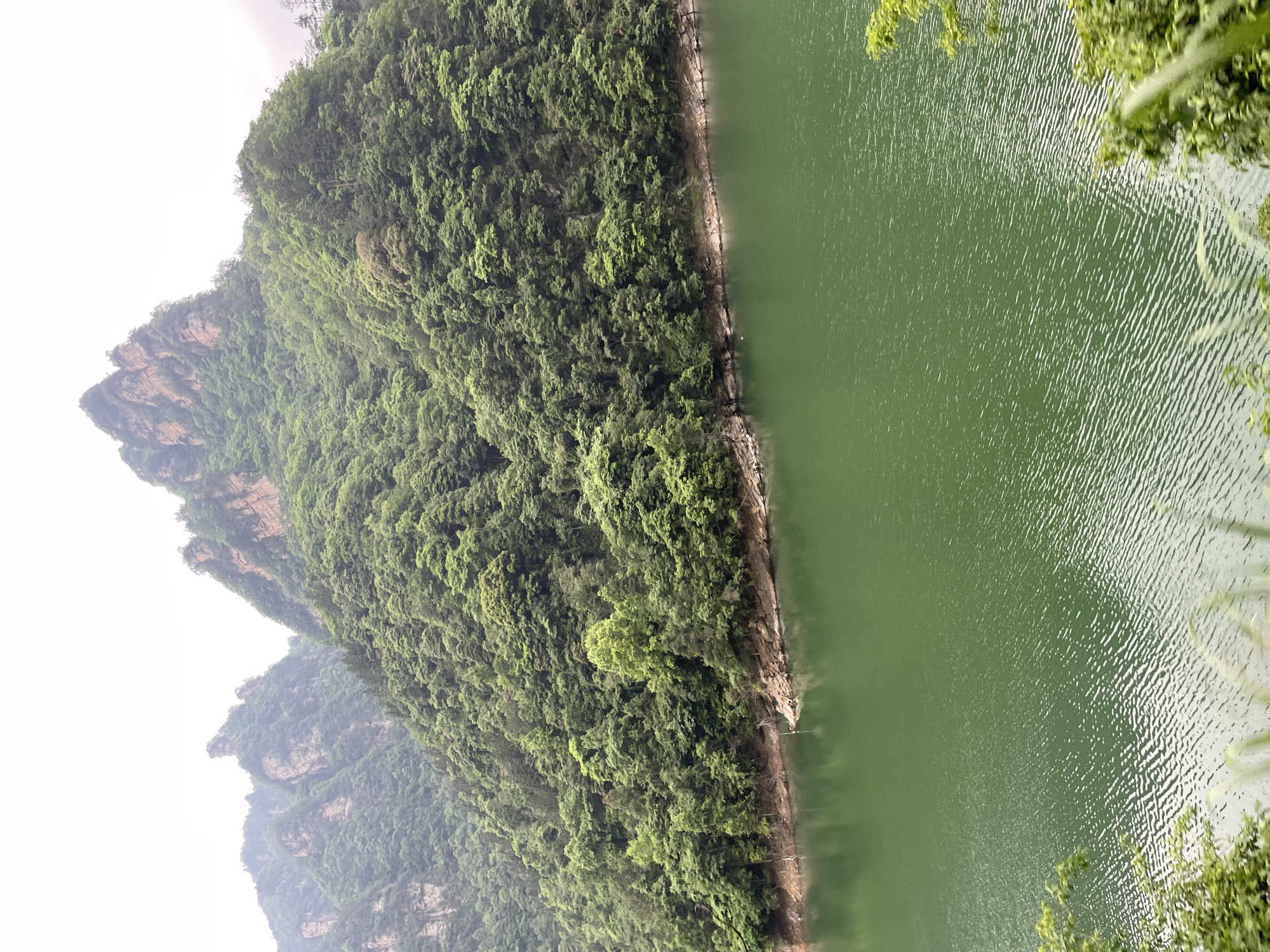 The image depicts a lush, mountainous landscape adjacent to a body of water with green tint. The scene is likely located in the Wulingyuan area of China, a noted scenic and historical interest area. The mountains are densely covered in trees, and their geological features suggest significant weathering and erosion. The water is relatively calm, showing subtle ripples. The overall ambiance is misty, contributing to the atmospheric perspective and obscuring distant details. There are no visible people or animals in the scene.