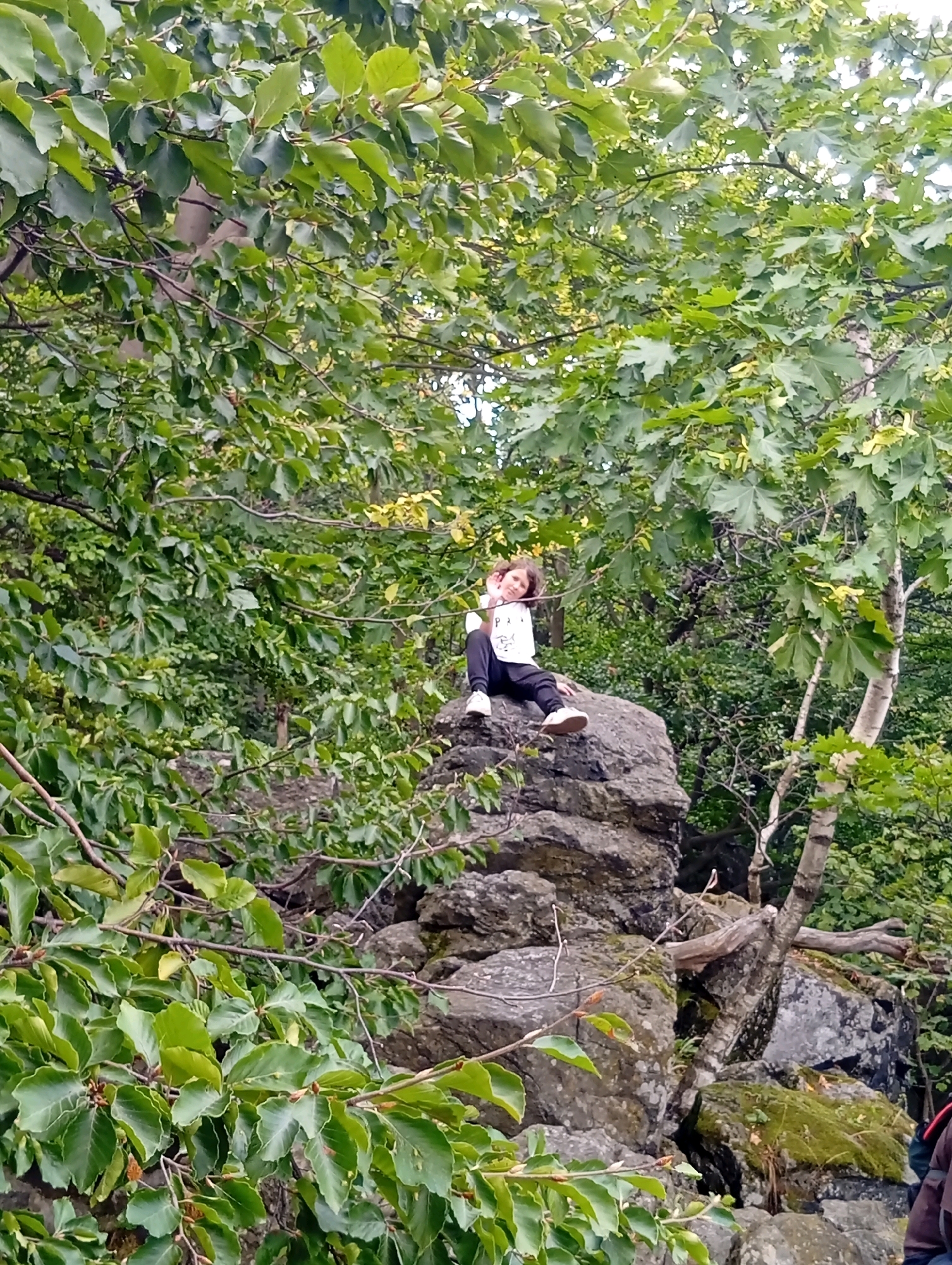 In Sobótka, Poland, a young person is seated on a large, grey rock amidst a lush, green forest. The person, with light-colored hair, is wearing a white long-sleeved shirt and dark pants. They are looking towards the camera, with their right hand raised in a wave. The rock formation is large and imposing, with visible texture and moss in some areas. Surrounding the rock is dense foliage from trees with vibrant green leaves, some of which are in the foreground, partially obscuring the view of the rock and the person. The background consists of more trees and undergrowth, creating a natural, wooded environment.