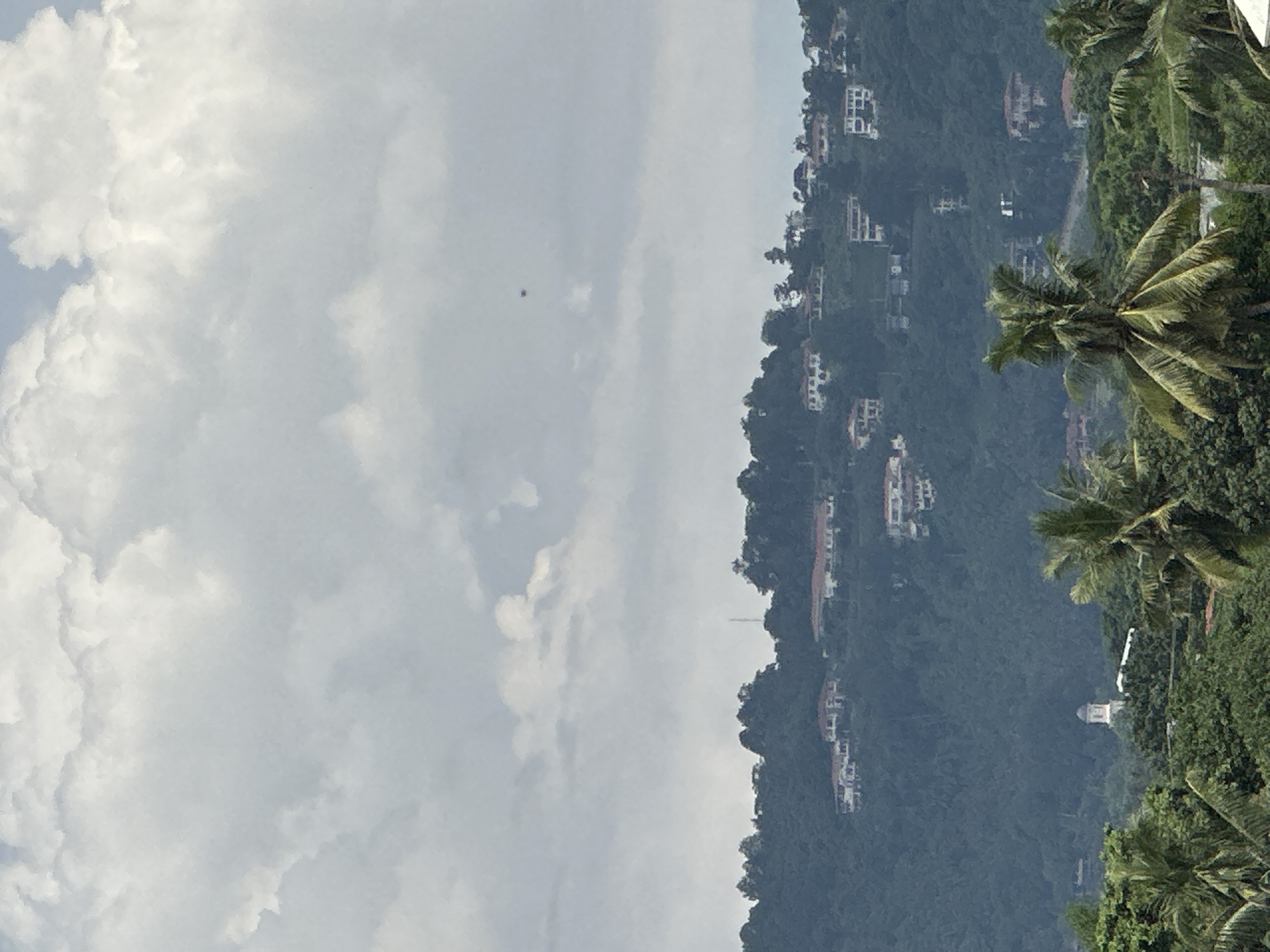 The image depicts a hillside in Davao City, Philippines, with houses built along the slope amid lush vegetation. Several palm trees are visible on the right side of the frame, while the left side features a sky filled with cumulus clouds. A tall communications tower stands on the hillside. There is a small object in the sky.