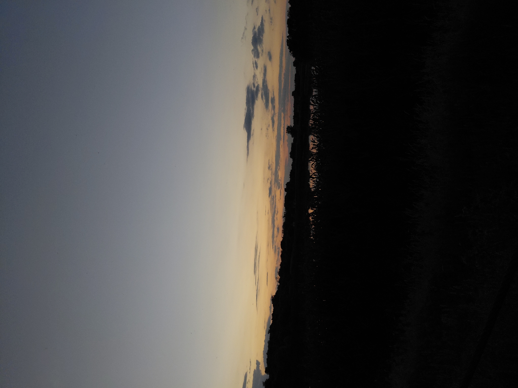 The image depicts a twilight scene over a rural landscape, likely in or near Ustyvytsia, Ukraine. The sky is a gradient of soft blues and yellows, with a few wispy clouds scattered across the horizon. Below the sky, a silhouetted tree line with some darker shapes of trees is visible against the fading light. In the foreground, a dense, dark mass of vegetation or foliage obscures the ground. A body of water, possibly a pond or a slow-moving river, is partially visible in the middle ground, reflecting the dim light of the sky. The overall impression is one of a quiet, natural setting at the end of the day.