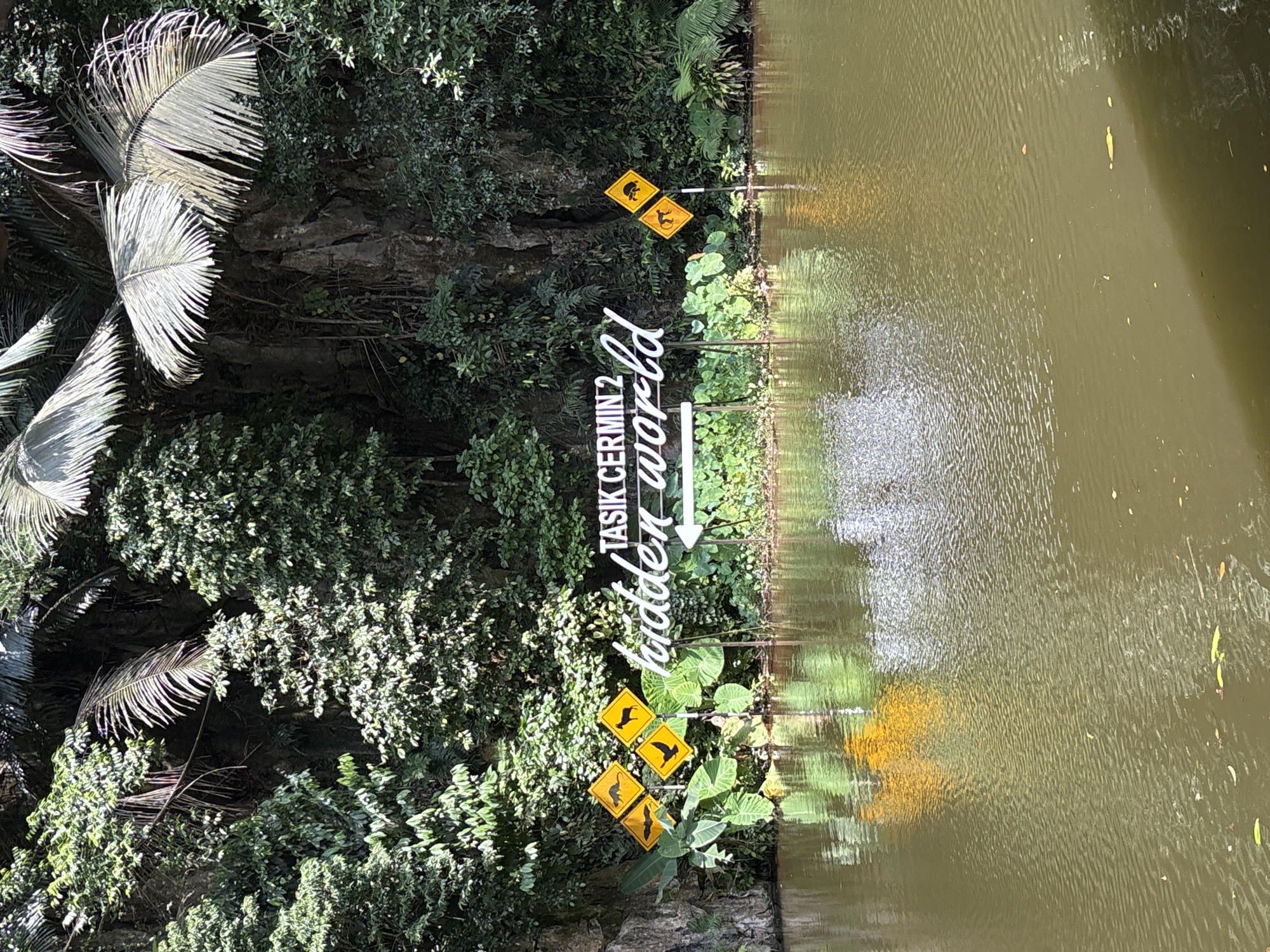The image depicts the entrance to Tasik Cermin 2, also known as Hidden World, a natural attraction located in Ipoh, Malaysia. The scene is dominated by a body of calm, greenish water in the foreground, reflecting the lush vegetation and rocky cliff face behind it. Several yellow diamond-shaped warning signs are visible on the left and right sides of the frame, indicating the presence of various animals such as bats, birds, and primates.
In the center of the image, a white, cursive sign reads "TASIK CERMIN 2" above "hidden world." An arrow points to the right, indicating the direction to the attraction. The signs and the main entrance signage are situated amidst dense, verdant foliage, including large-leafed plants and palm trees. The backdrop is a sheer rock face partially covered in greenery, typical of Ipoh's limestone karst formations. The overall atmosphere is one of natural beauty and tranquility.