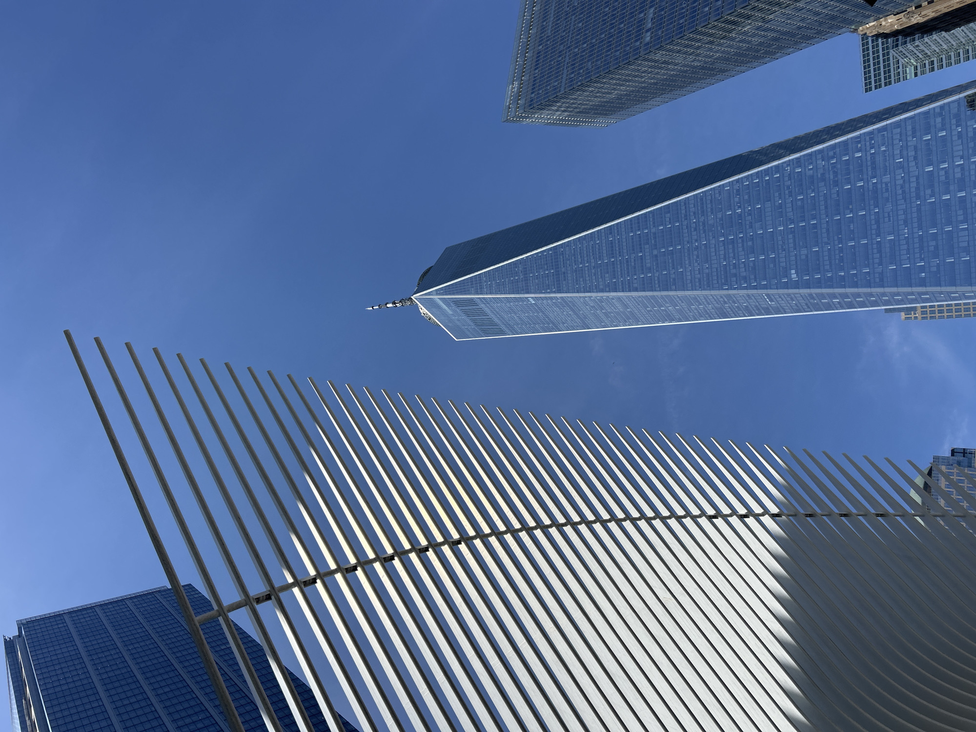 The image, taken from a low angle, features a view of the sky above the World Trade Center area in New York City, USA. Several buildings are visible, including the One World Trade Center, identifiable by its distinctive shape. The white, rib-like structure of the World Trade Center Transportation Hub (Oculus) dominates the lower portion of the image. The sky is clear and blue.